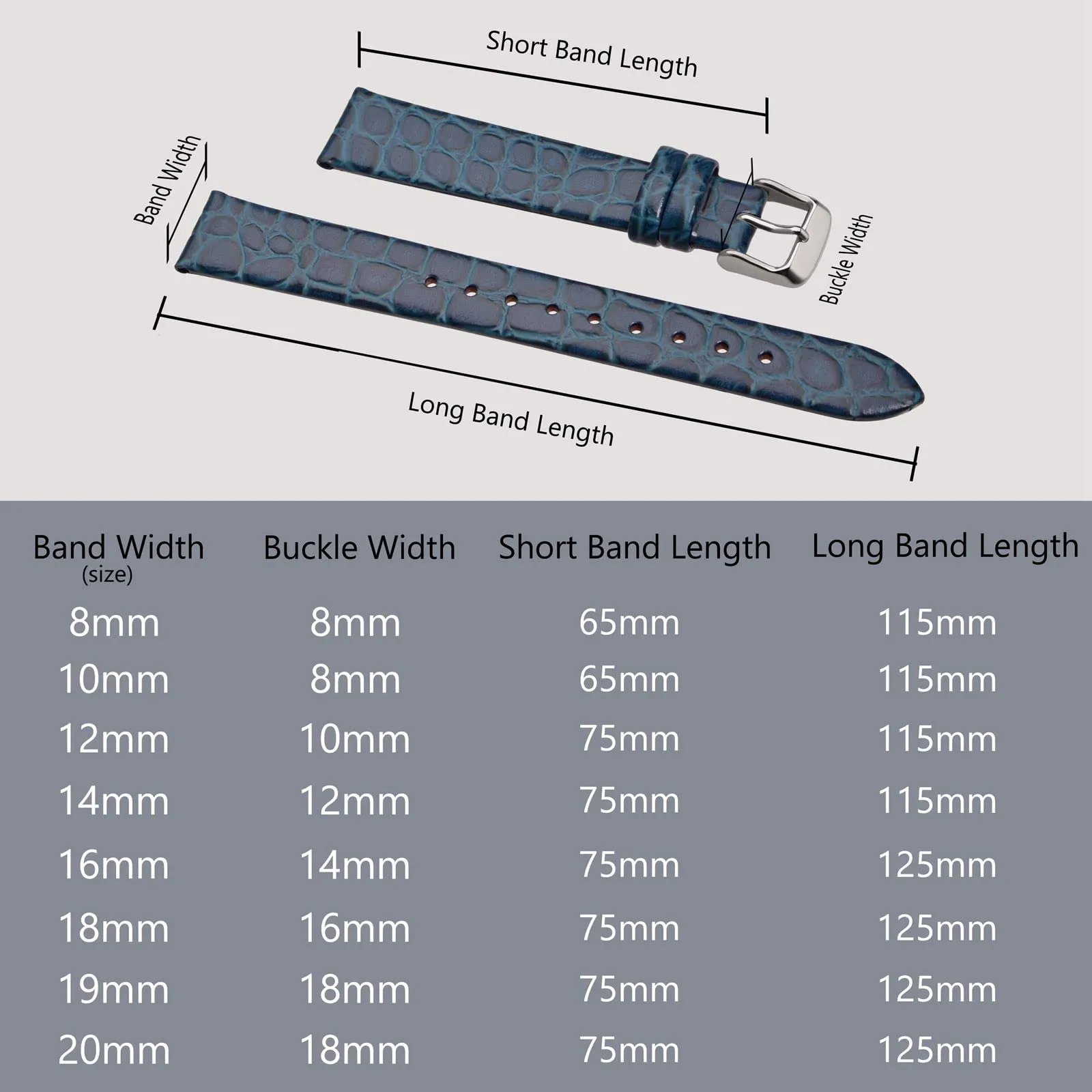 BISONSTRAP Cinturino in Pelle per Orologio Donna, 12mm, Blu con Fibbia Argento - immagine 5