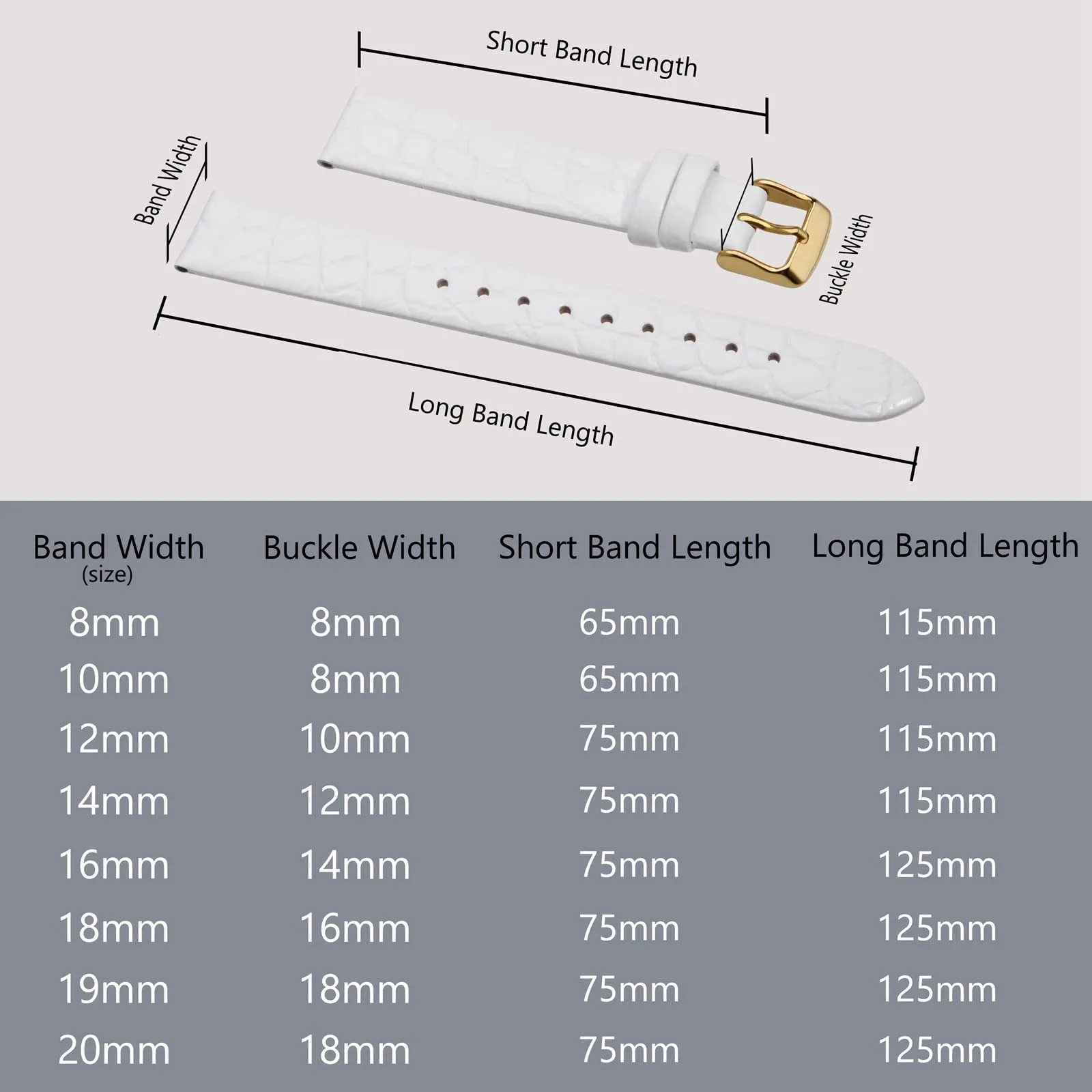 BISONSTRAP Cinturino di Ricambio in Pelle per Orologi Donna, 8mm, Bianco con Fibbia in Oro - immagine 5