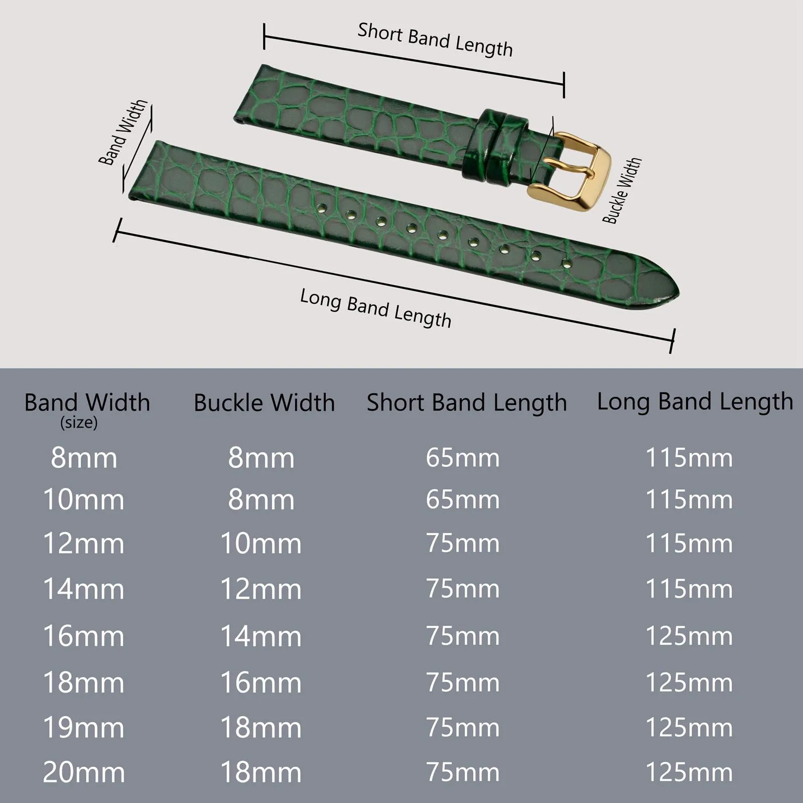 BISONSTRAP Cinturino di Ricambio in Pelle per Orologi Donna, 16mm, Verde con Fibbia in Oro - immagine 5