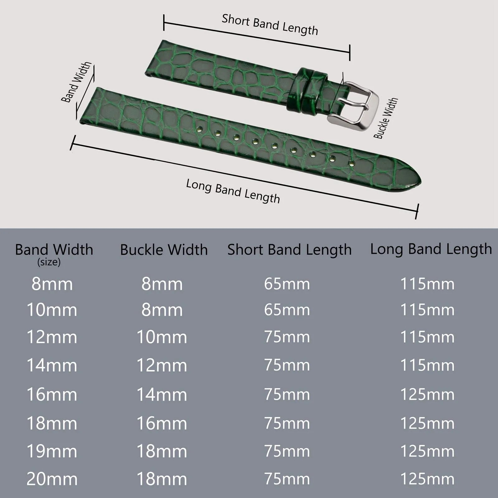 BISONSTRAP Cinturino di Ricambio in Pelle per Orologi Donna, 12mm, Verde con Fibbia in Argento - immagine 5