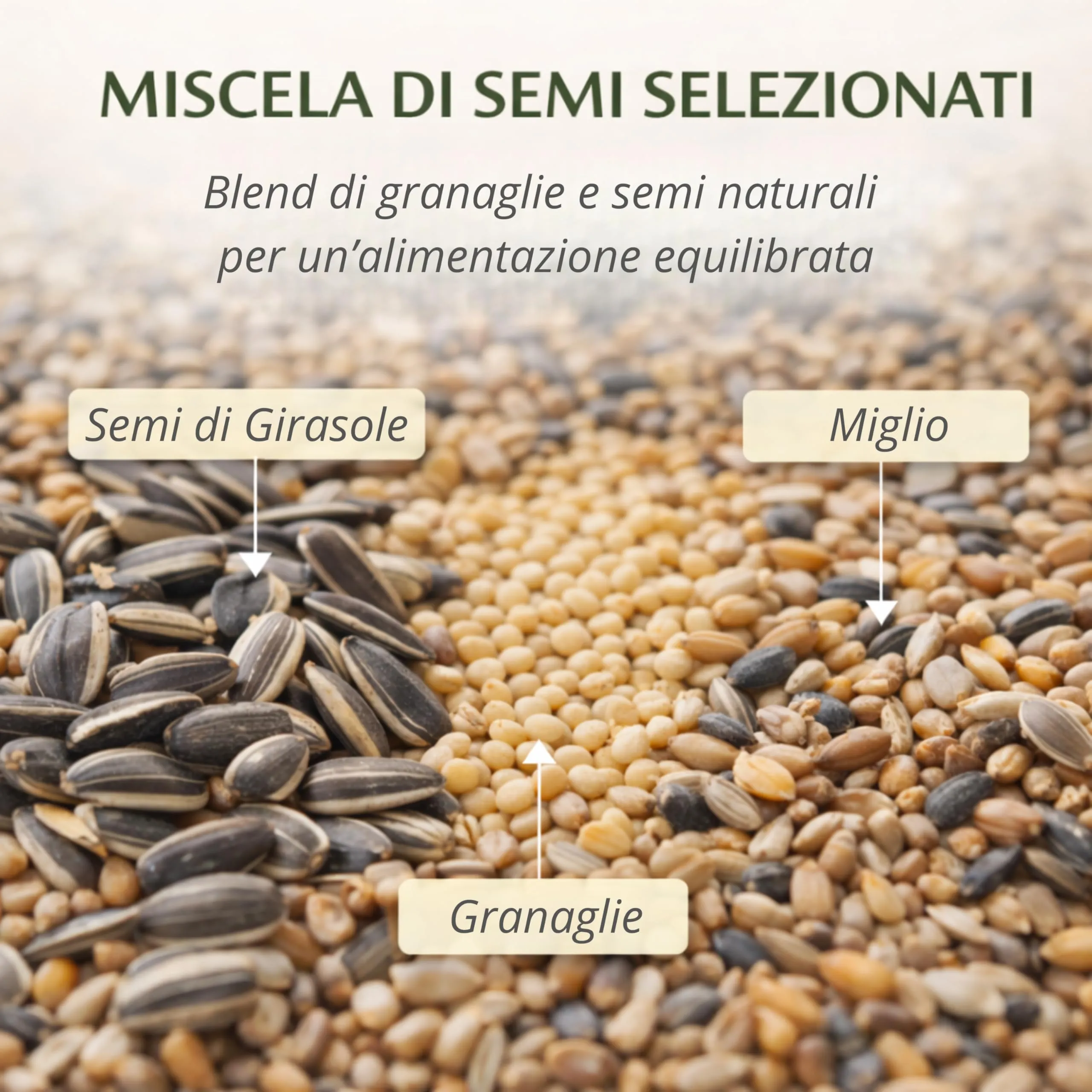 AGRI-CULTURA Mangime Uccelli Selvatici Miscela Semi e Granaglie Naturali, 800g - immagine 3