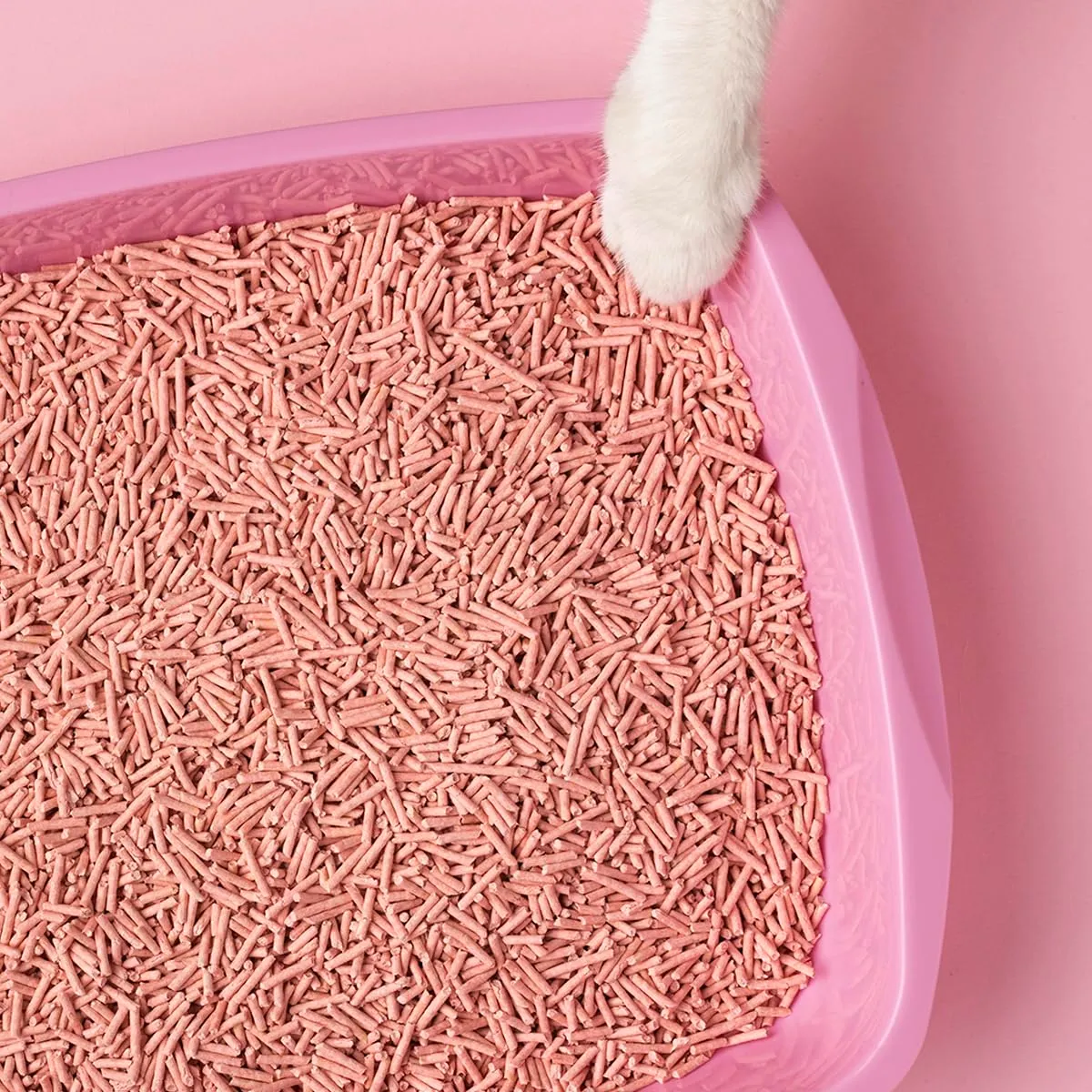 Cat&Rina BeNatural Lettiera per Gatti al Tofu, 5,5L, 6 pezzi - immagine 7