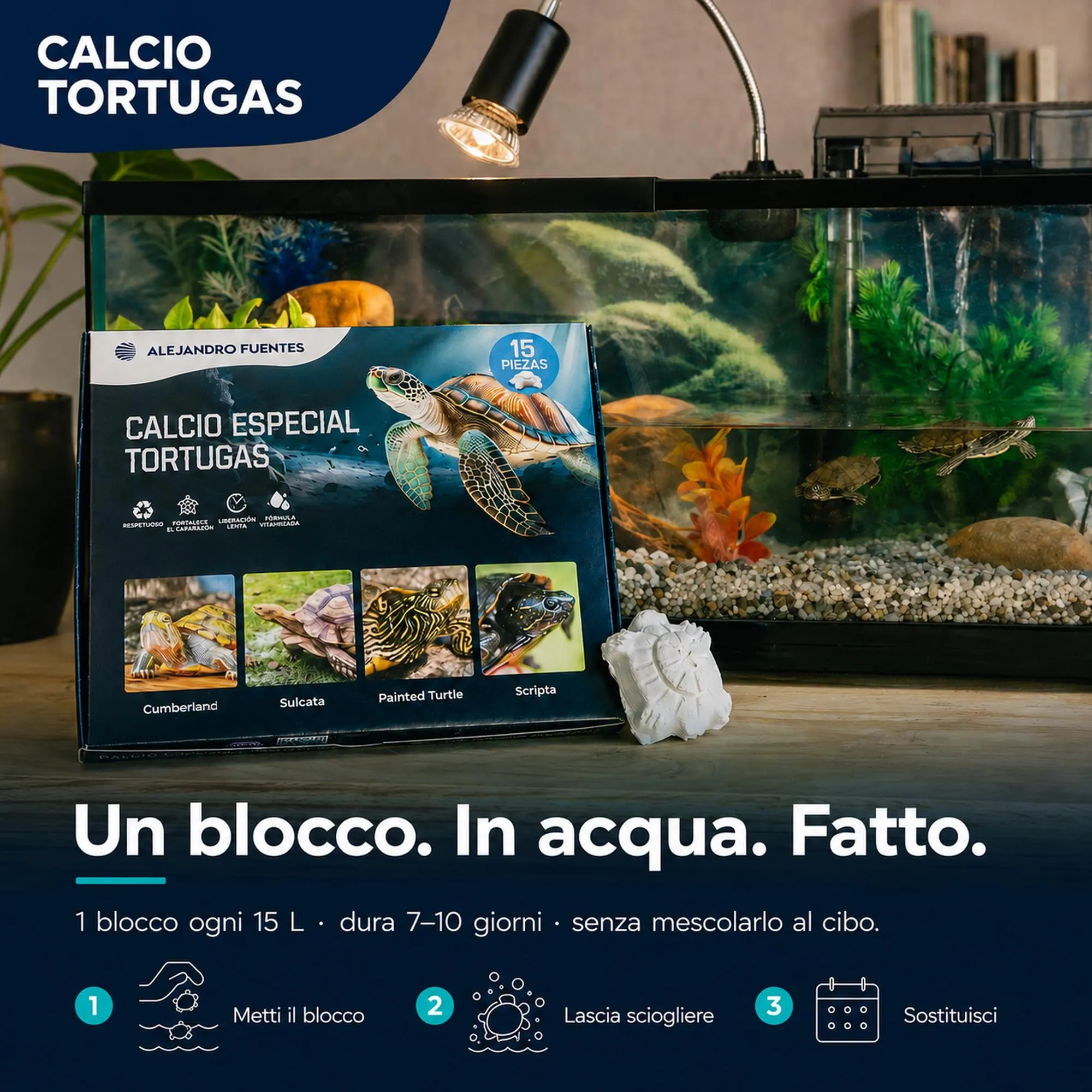Alejandro Fuentes AF Calcio per Tartarughe di Terra e Acqua, Blocco Minerale Naturale con Vitamina B1, Pack 15 Pezzi - immagine 4