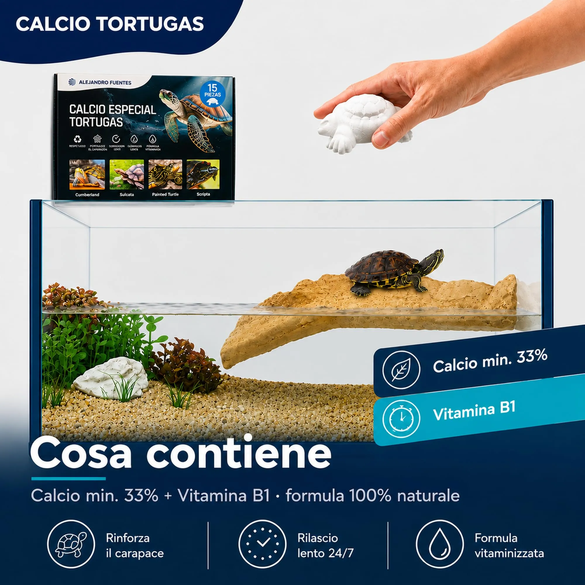 Alejandro Fuentes AF Calcio per Tartarughe di Terra e Acqua, Blocco Minerale Naturale con Vitamina B1, Pack 15 Pezzi - immagine 5