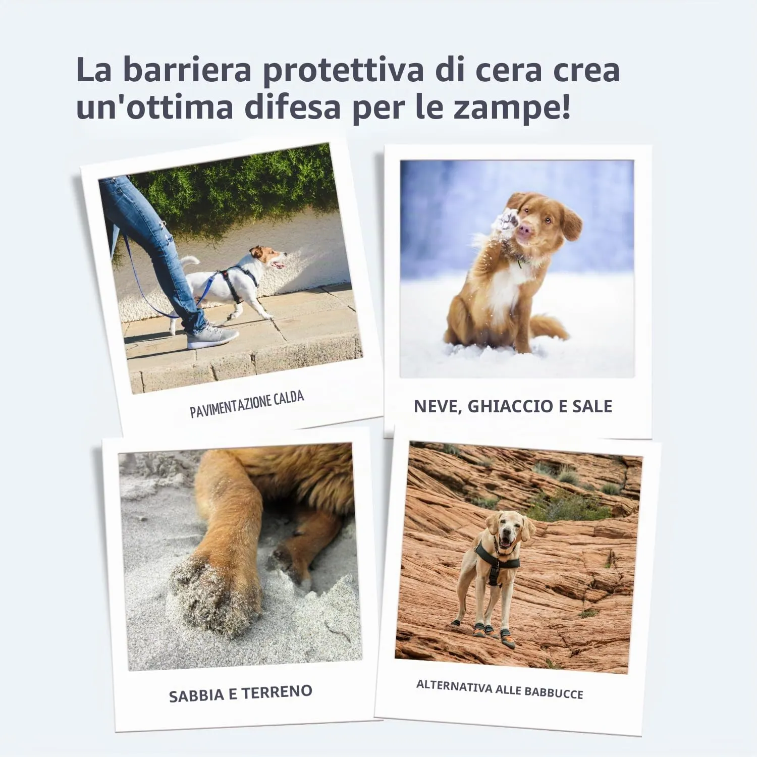 Noseprint Balsamo Naturale per Naso e Zampe di Cane, Idratante e Condizionante (50 ml) - immagine 2