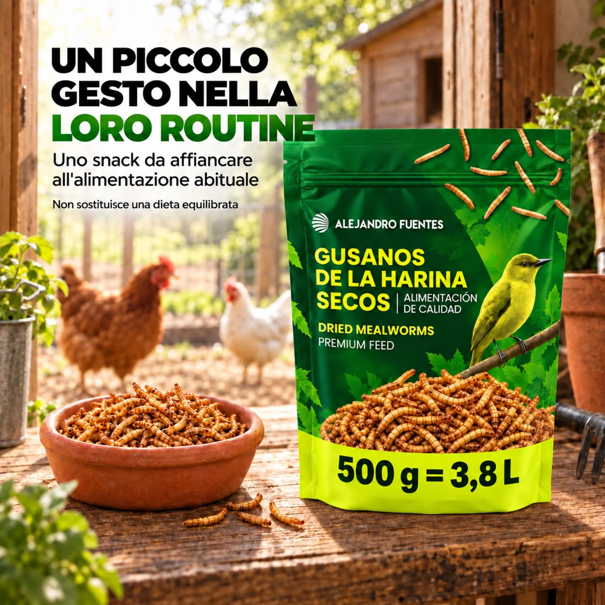 Alejandro Fuentes Camole della Farina Essiccate Tenebrio Molitor 500g - immagine 4