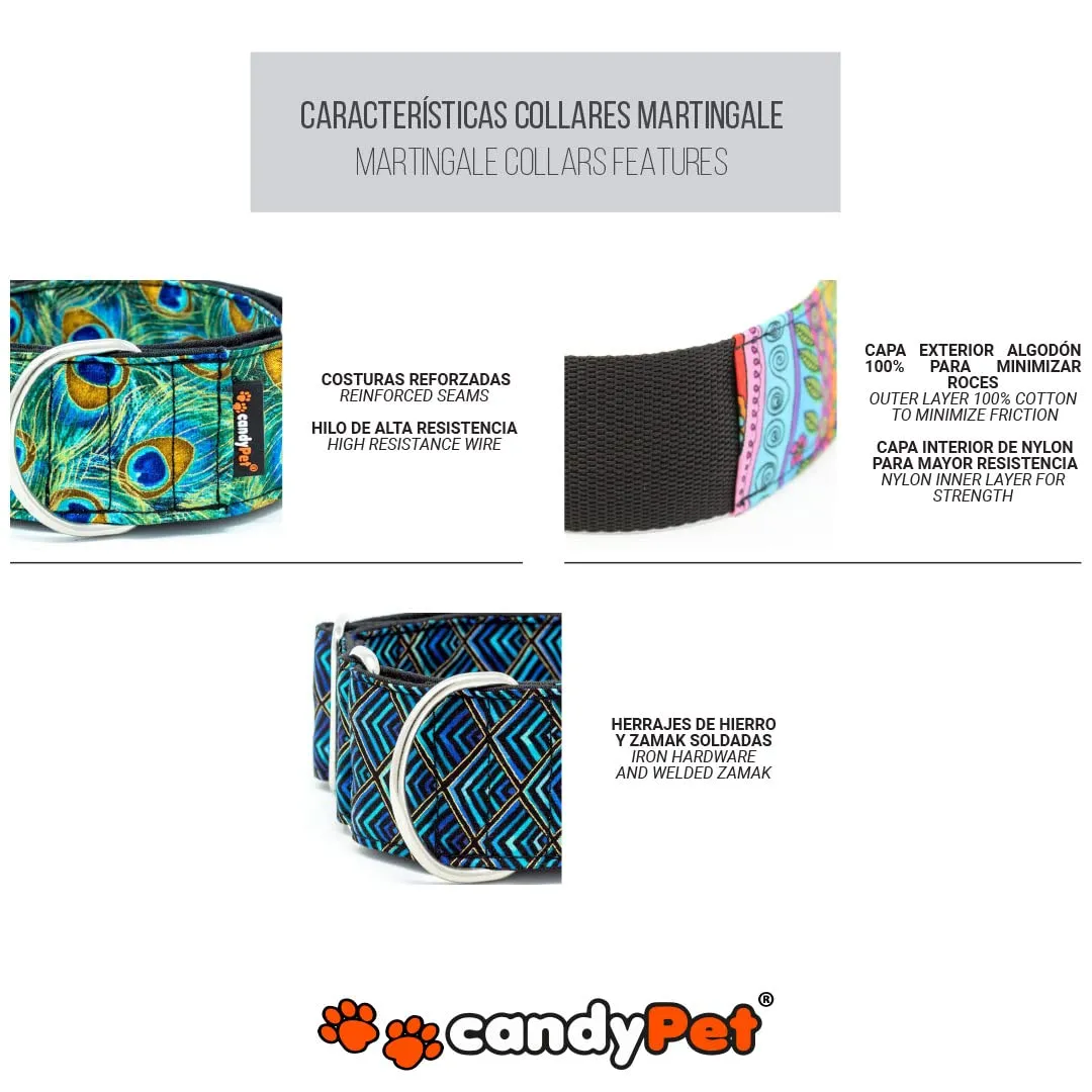 candyPet Martingale Dog Collar, Medium, New Waves - immagine 3