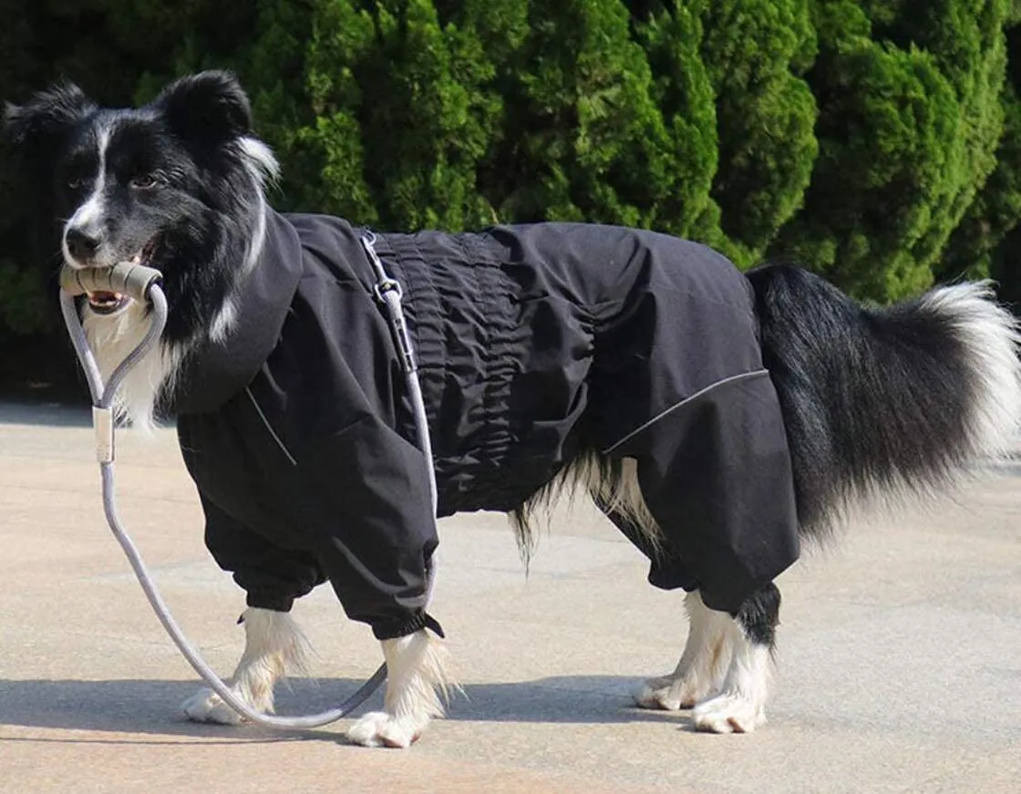 Morezi Impermeabile per Cani a Collo Alto con Cerniera Posteriore e Polsini Elastici, Nero, M - immagine 6