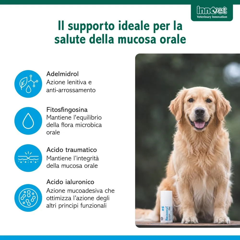 Innovet Restomyl Gel Orale per Cani e Gatti, 30 ml - immagine 7