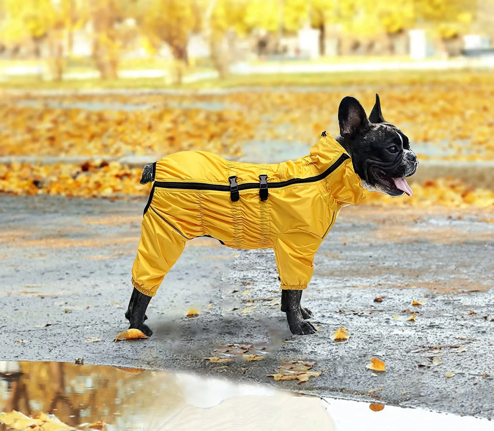 Morezi Impermeabile per cani a collo alto a quattro zampe, Giallo, XXXL - immagine 6
