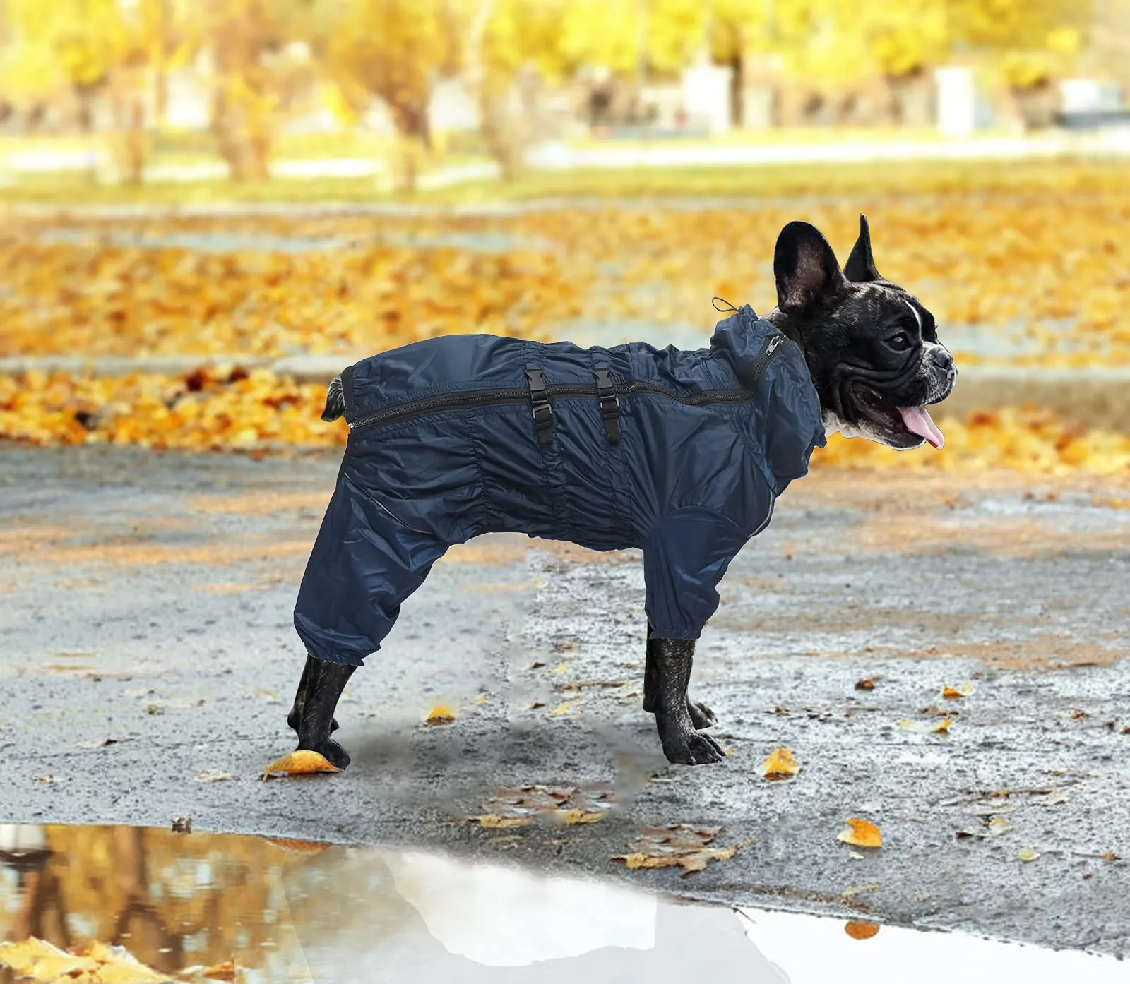 Morezi Impermeabile per Cani a Quattro Zampe con Collo Alto e Cerniera Posteriore, Navy, Medium - immagine 5