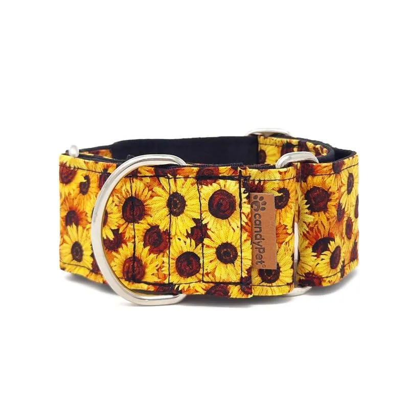 candyPet Martingale Dog Collar, Sunflowers, S - immagine 1