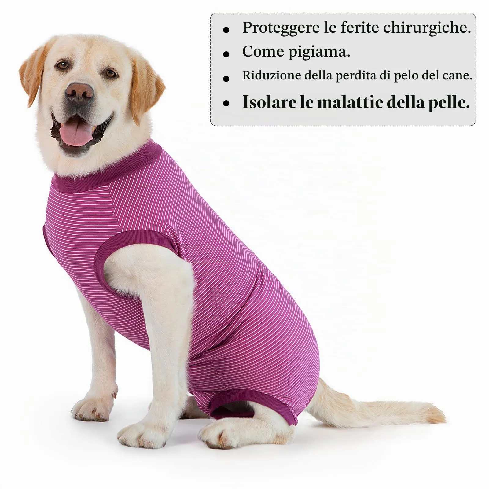 Cyponpy Tuta Post Operatoria per Cani Femmina, Body Chirurgico di Recupero, XL, Fucsia Floreale - immagine 5