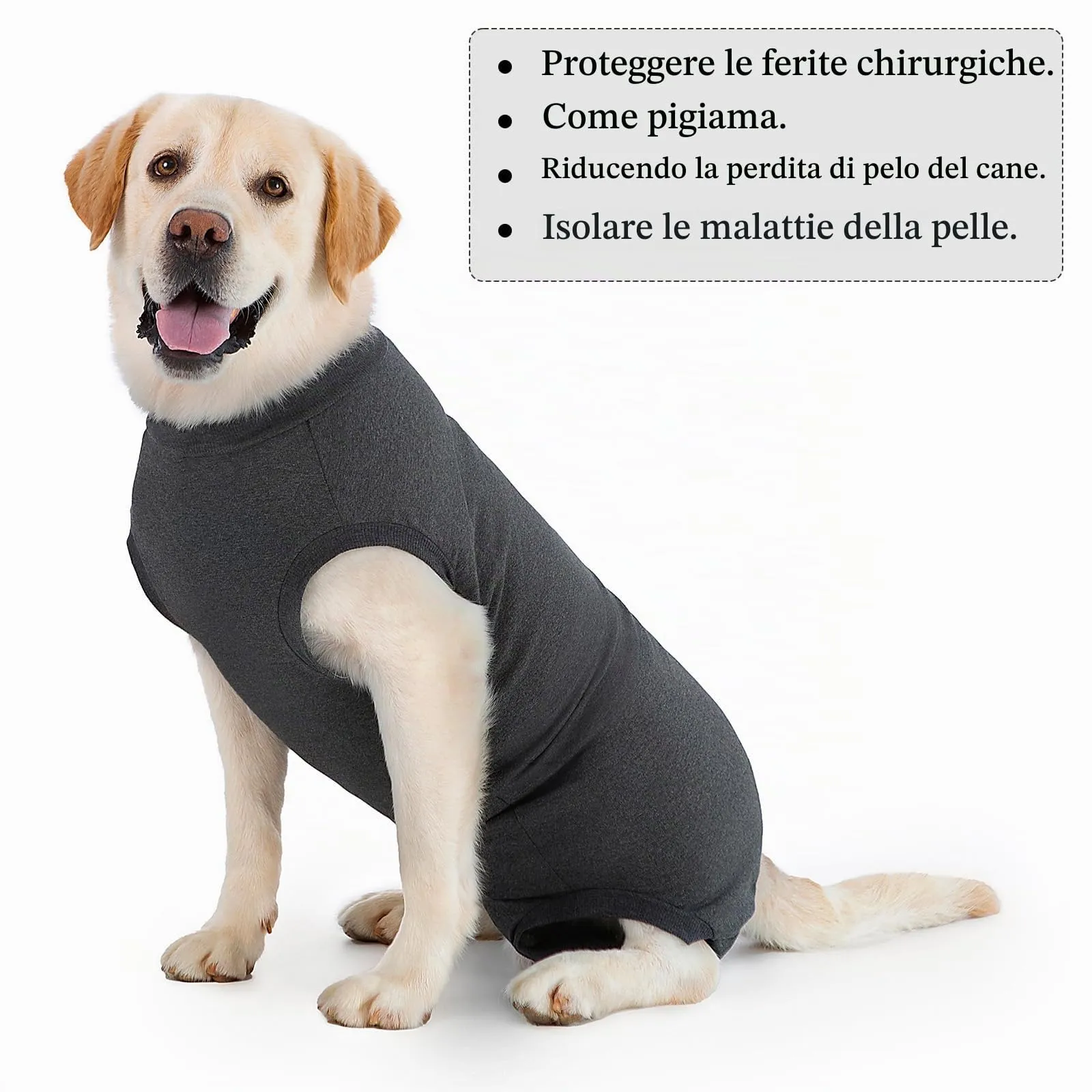 Cyponpy Tutina Post Operatoria per Cani, Vestito Chirurgico Femmina, Tuta Recupero Pigiama, Taglia XS, Grigio - immagine 5