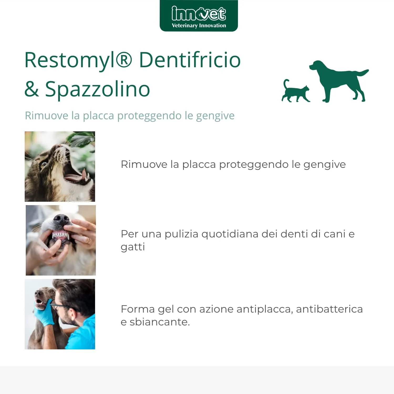 Innovet Restomyl Dentifricio per Cani e Gatti Antibatterico e Sbiancante con Spazzolino Extra Soft - immagine 2