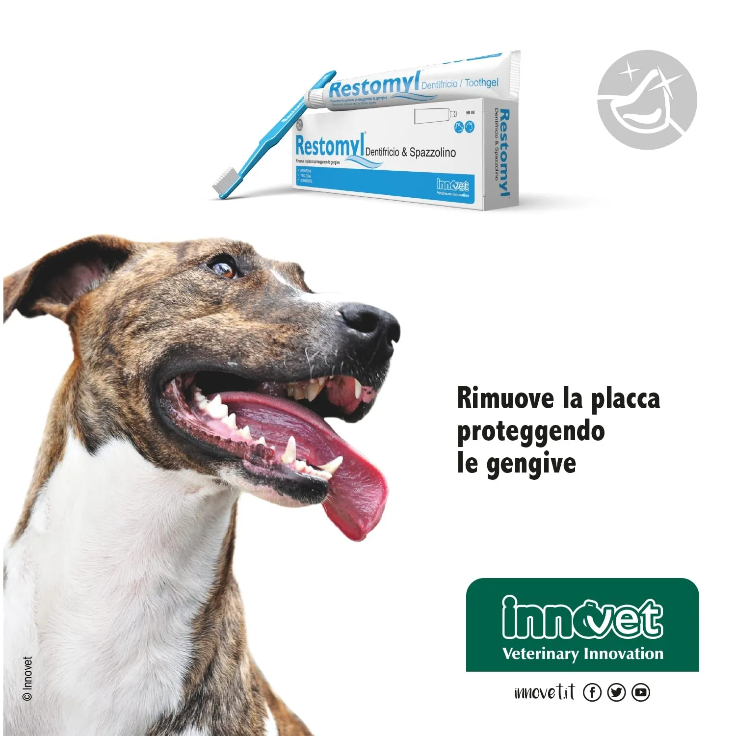Innovet Restomyl Dentifricio per Cani e Gatti Antibatterico e Sbiancante con Spazzolino Extra Soft - immagine 6