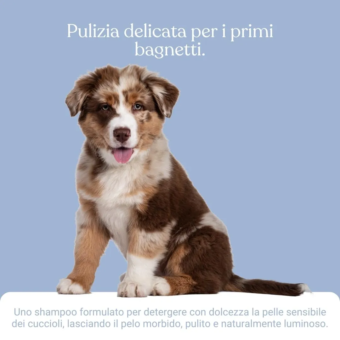 Bau Shampoo Cuccioli Cane Delicato con Aloe Vera, Avena e Pantenolo, 250ml - immagine 5