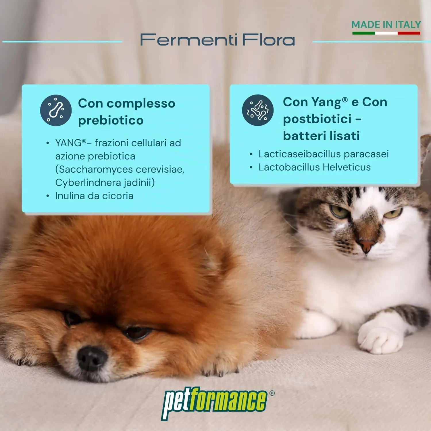 Petformance Fermentiflora in Pasta Prebiotico e Postbiotico per Cani e Gatti, 50g - immagine 3