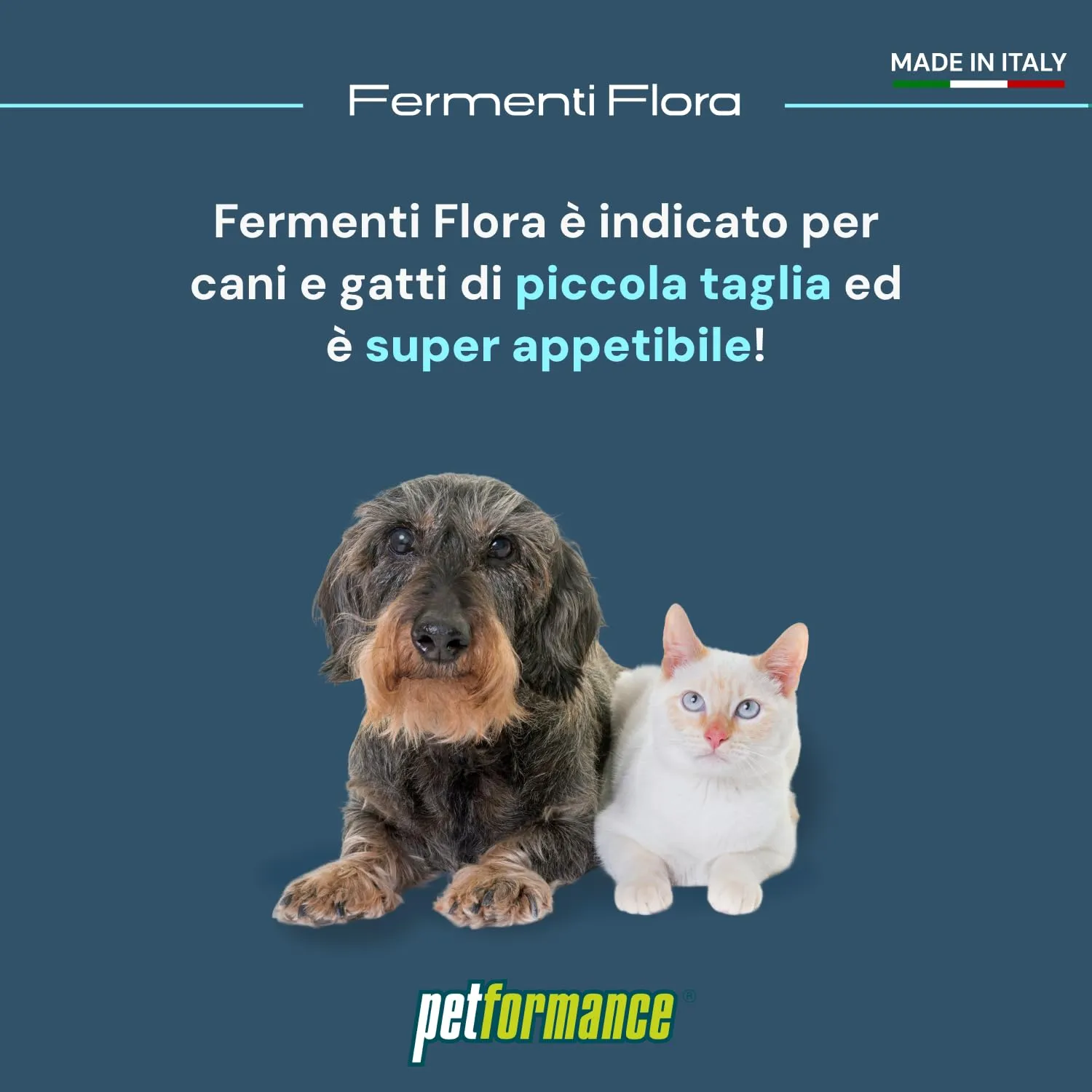 Petformance Fermentiflora in Pasta Prebiotico e Postbiotico per Cani e Gatti, 50g - immagine 4