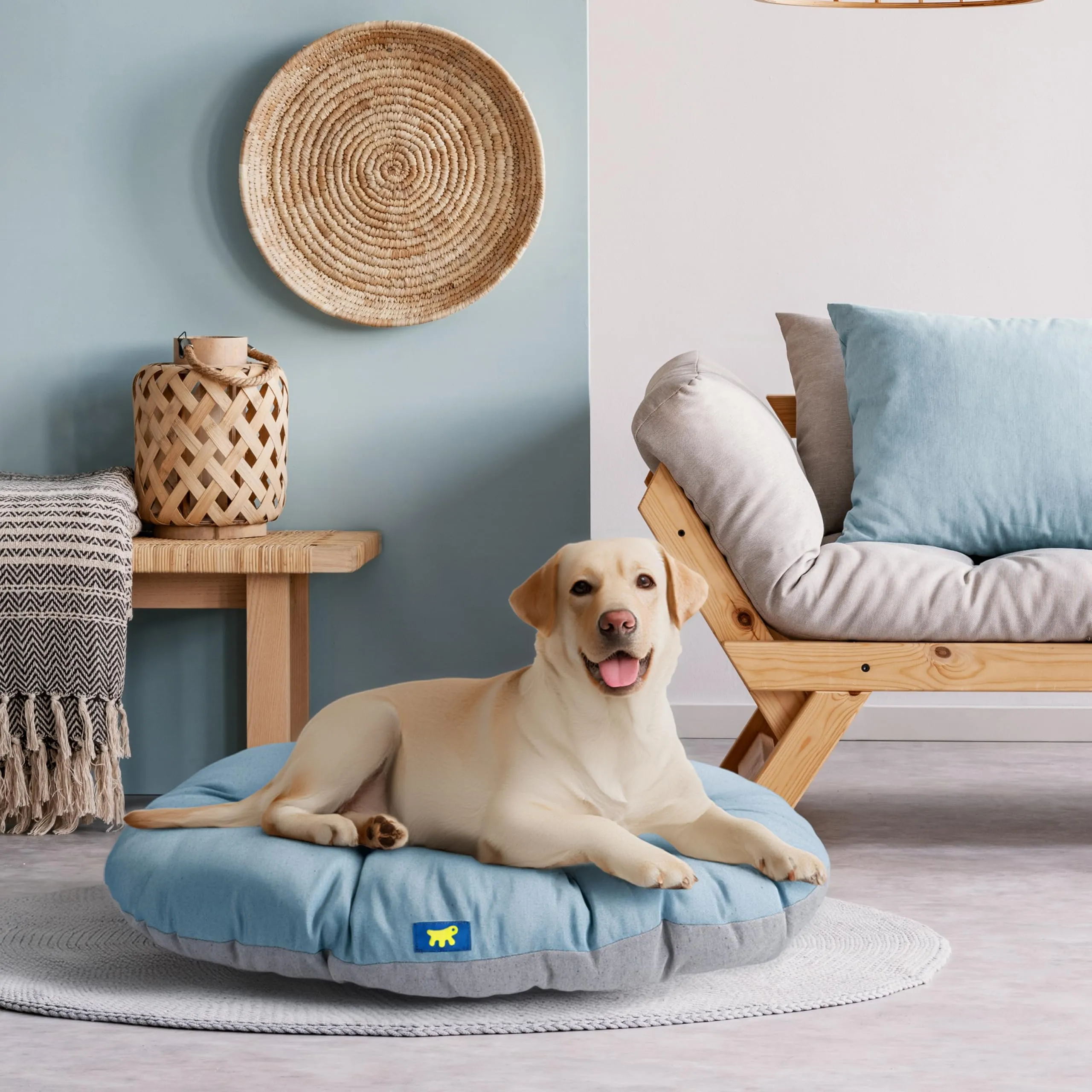 Ferplast Cuccia Cane Relax, Cuscino in Cotone Lavabile, 100 x 63 cm, Azzurro - immagine 2