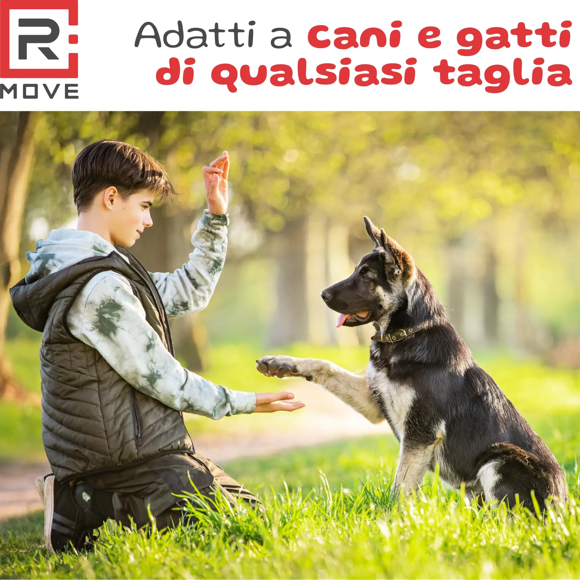 R MOVE Sacchetti igienici per cani, 1080 pz (72 rotoli), 30x23 cm, 2,5 litri - immagine 6