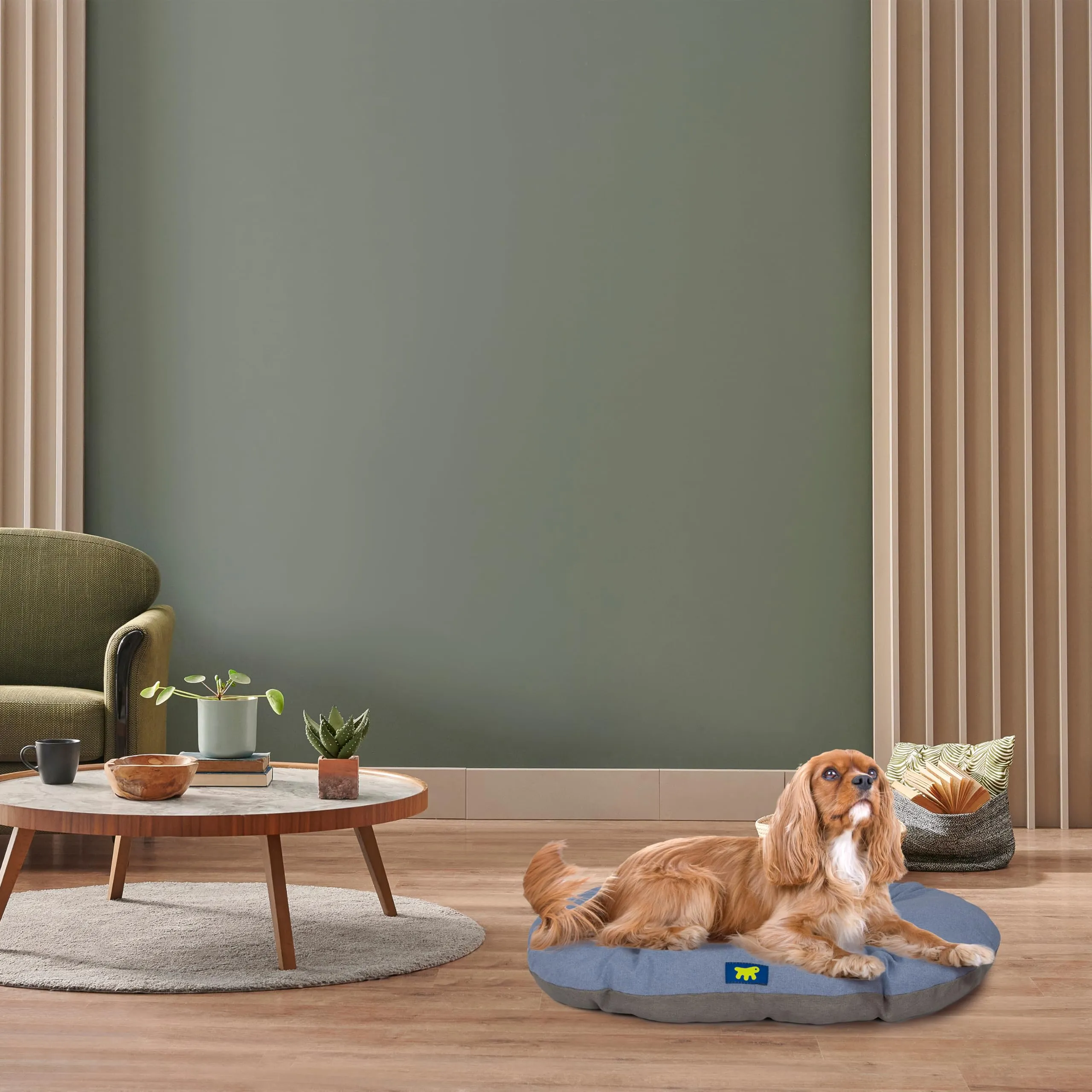 Ferplast Cuccia Cane Relax, Cuscino in Cotone Imbottito, 78 x 50 cm, Azzurro - immagine 3
