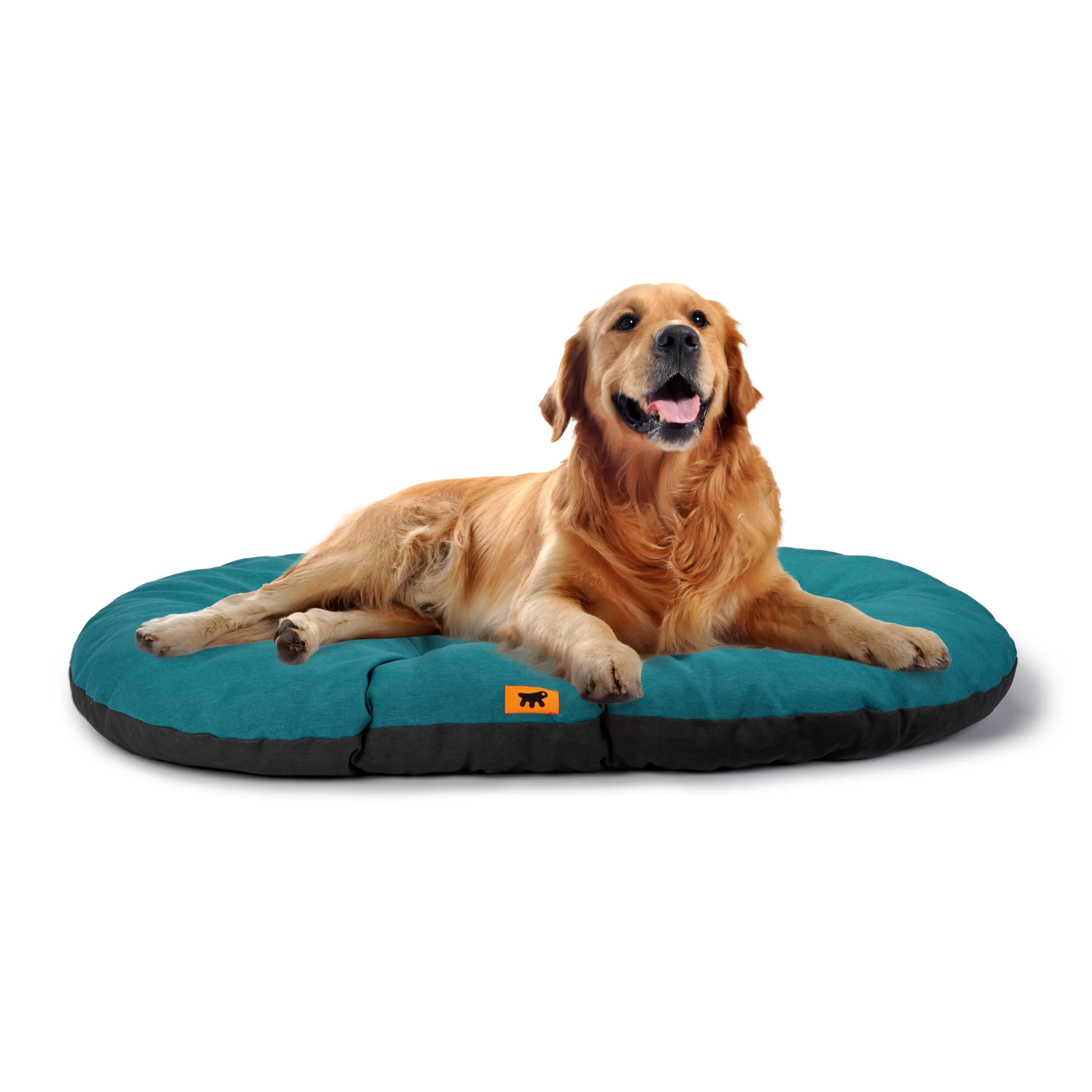 Ferplast Cuccia Cane Relax, Cuscino Lavabile in Cotone, 100 x 63 cm, Turchese - immagine 1