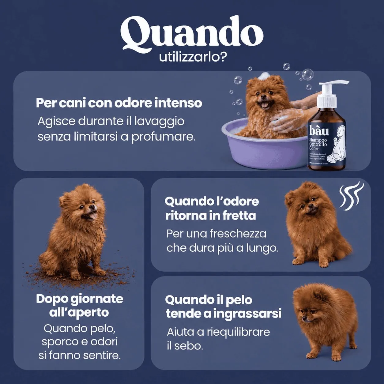 Bau Shampoo Cane Controllo Odori con Bardana, Aloe Vera e Pantenolo, 250ml - immagine 2