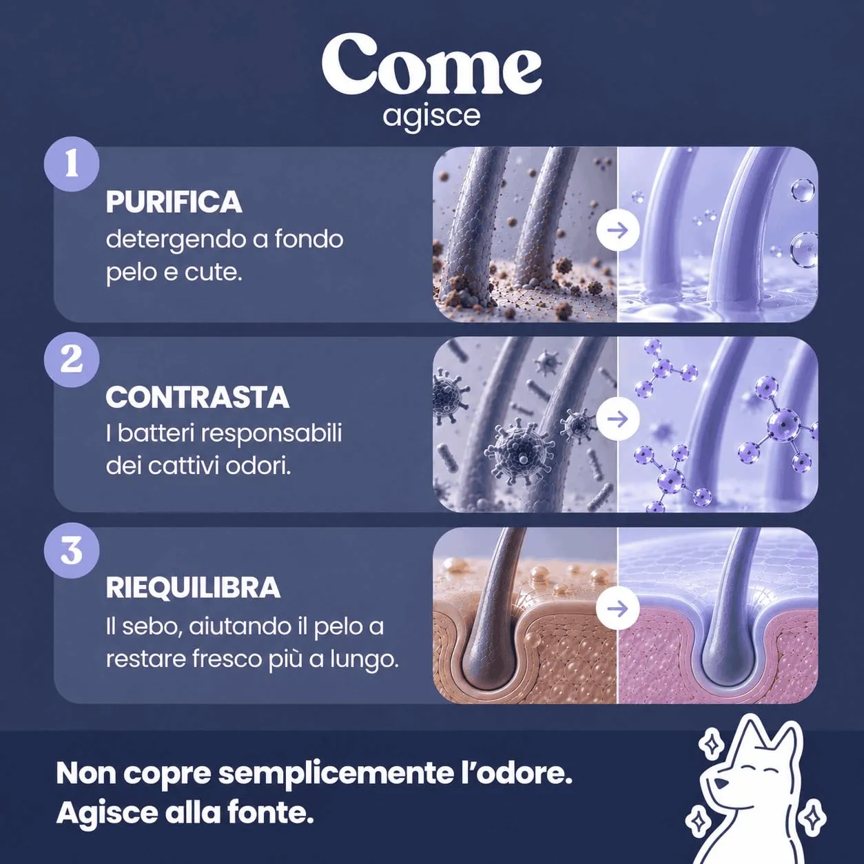 Bau Shampoo Cane Controllo Odori con Bardana, Aloe Vera e Pantenolo, 250ml - immagine 3