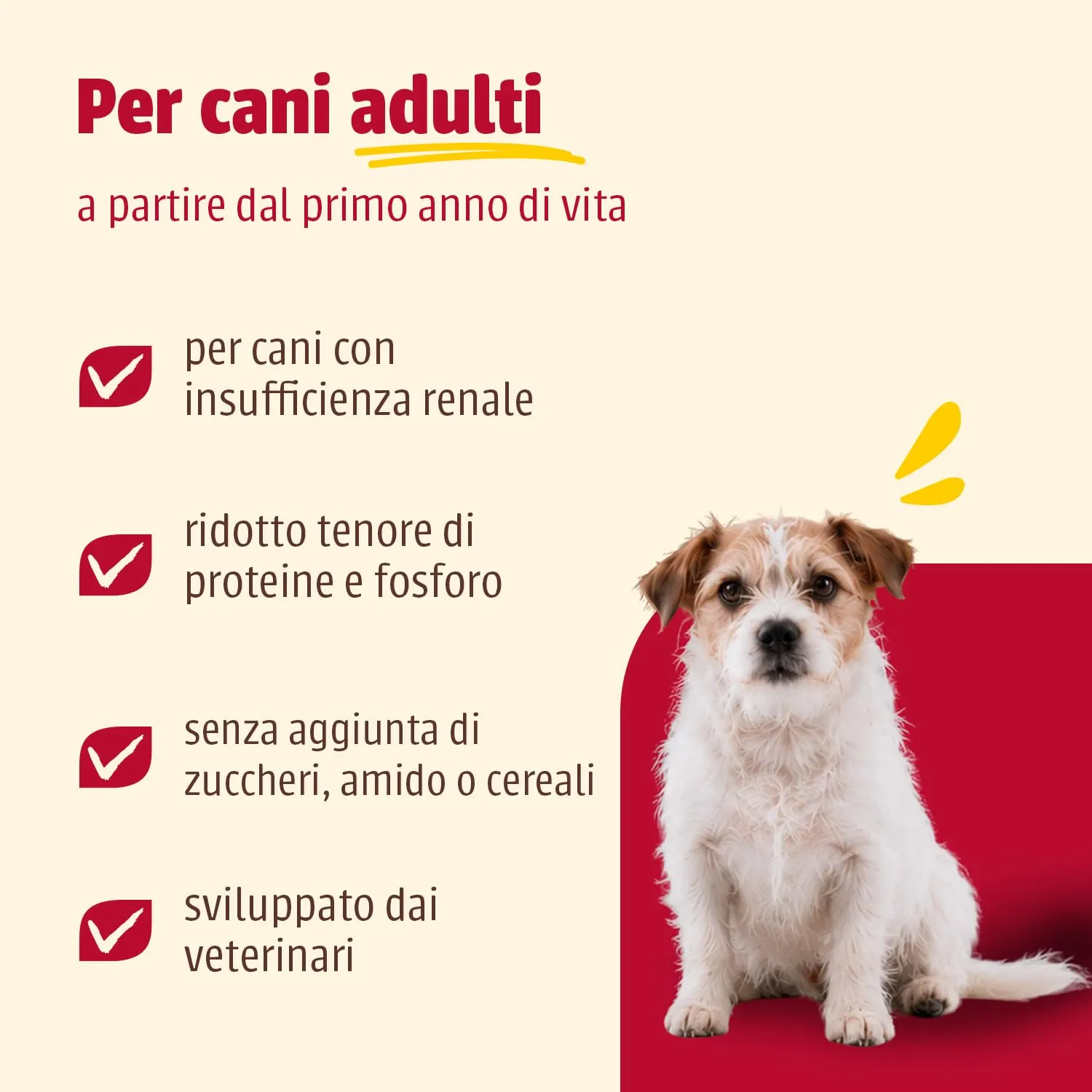 Animonda Integra Protect Renal con Manzo (6x 400g) - immagine 3