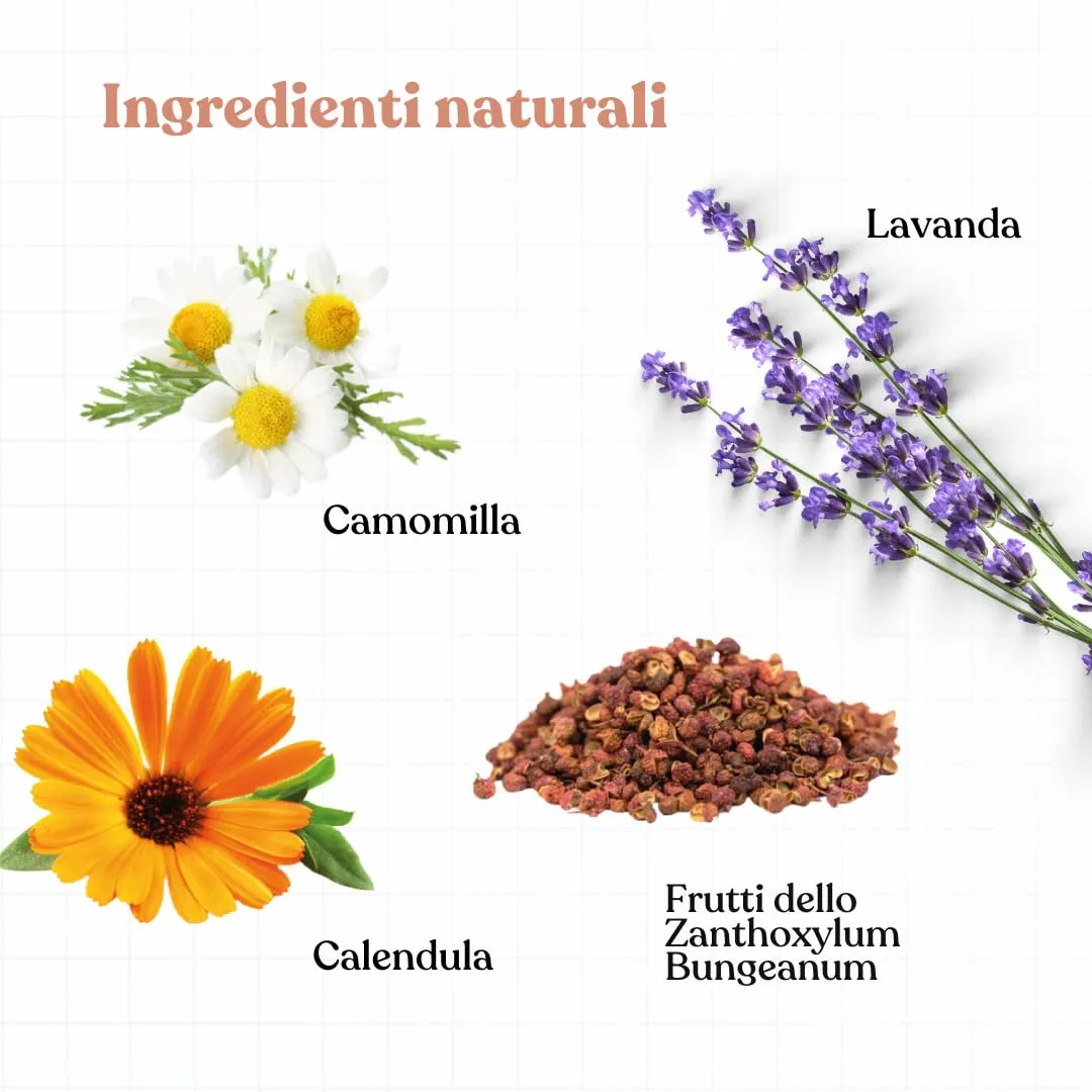 Bau Shampoo Lenitivo per Cani e Gatti con Camomilla, Calendula e Lavanda, 250ml - immagine 4
