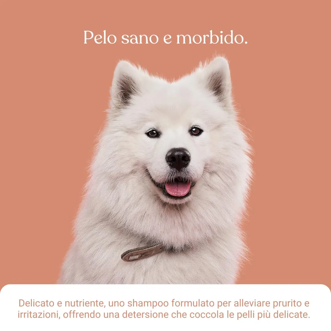 Bau Shampoo Lenitivo per Cani e Gatti con Camomilla, Calendula e Lavanda, 250ml - immagine 7