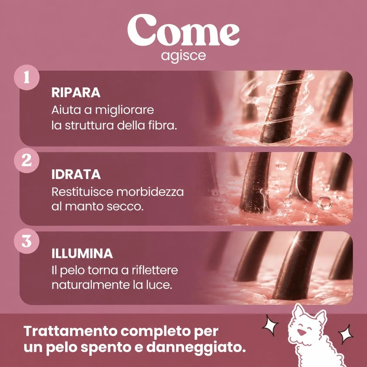 Bau Shampoo Ristrutturante Cane con Estratti di Albicocca e Noce, 250ml - immagine 3