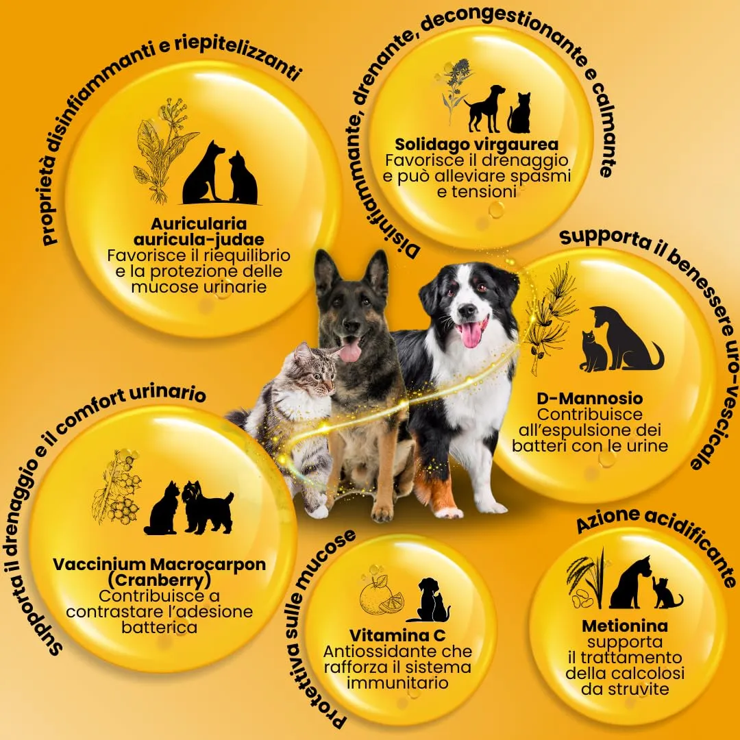 Camon StruviPet Plus Alimento Complementare per Vie Urinarie Cani e Gatti, 60 Compresse - immagine 3