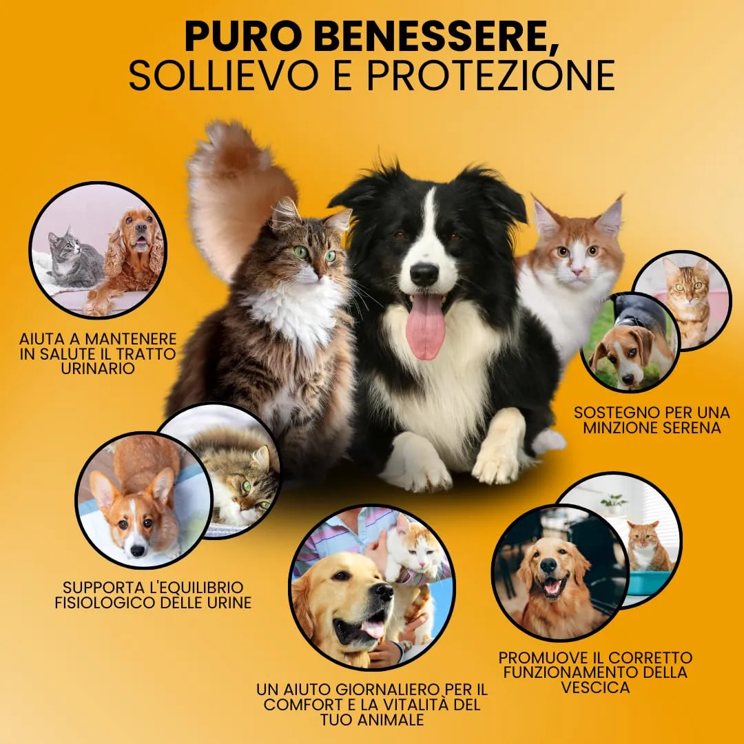 Camon StruviPet Plus Alimento Complementare per Vie Urinarie Cani e Gatti, 60 Compresse - immagine 6