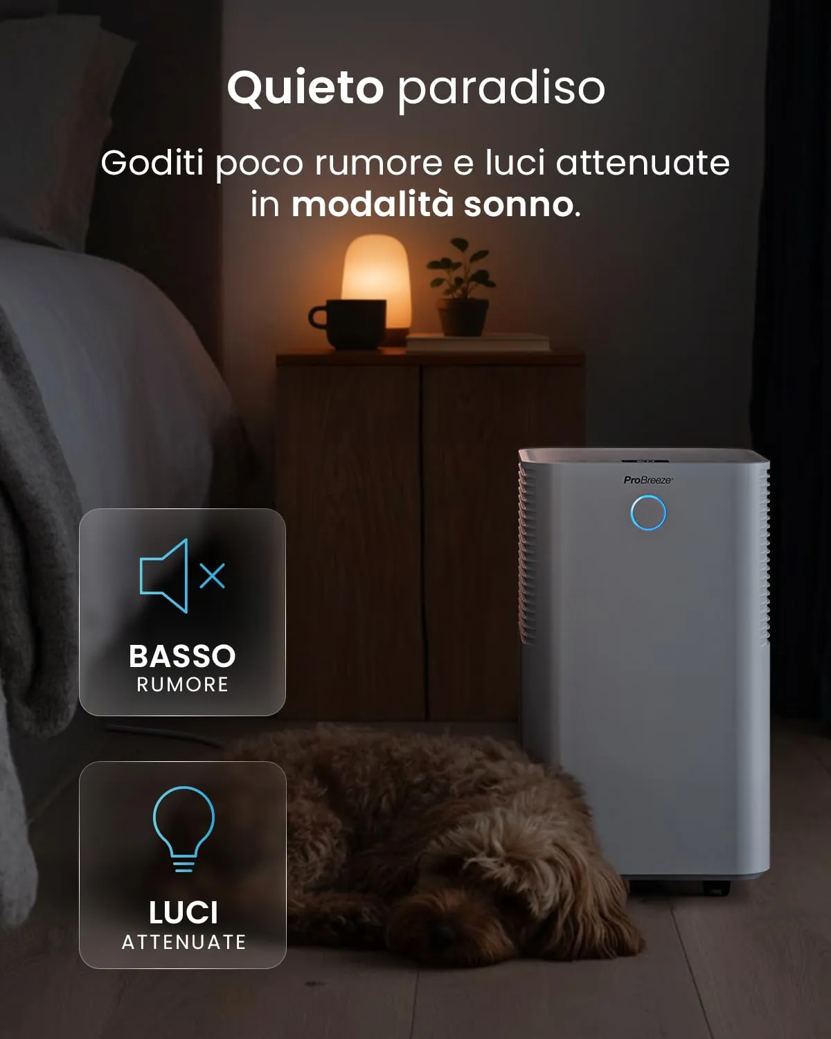 Pro Breeze OmniDry Deumidificatore 12L/giorno, Serbatoio 2L, Sensore e Display Umidità, Modalità Sleep e Timer 24H, Bianco - immagine 6