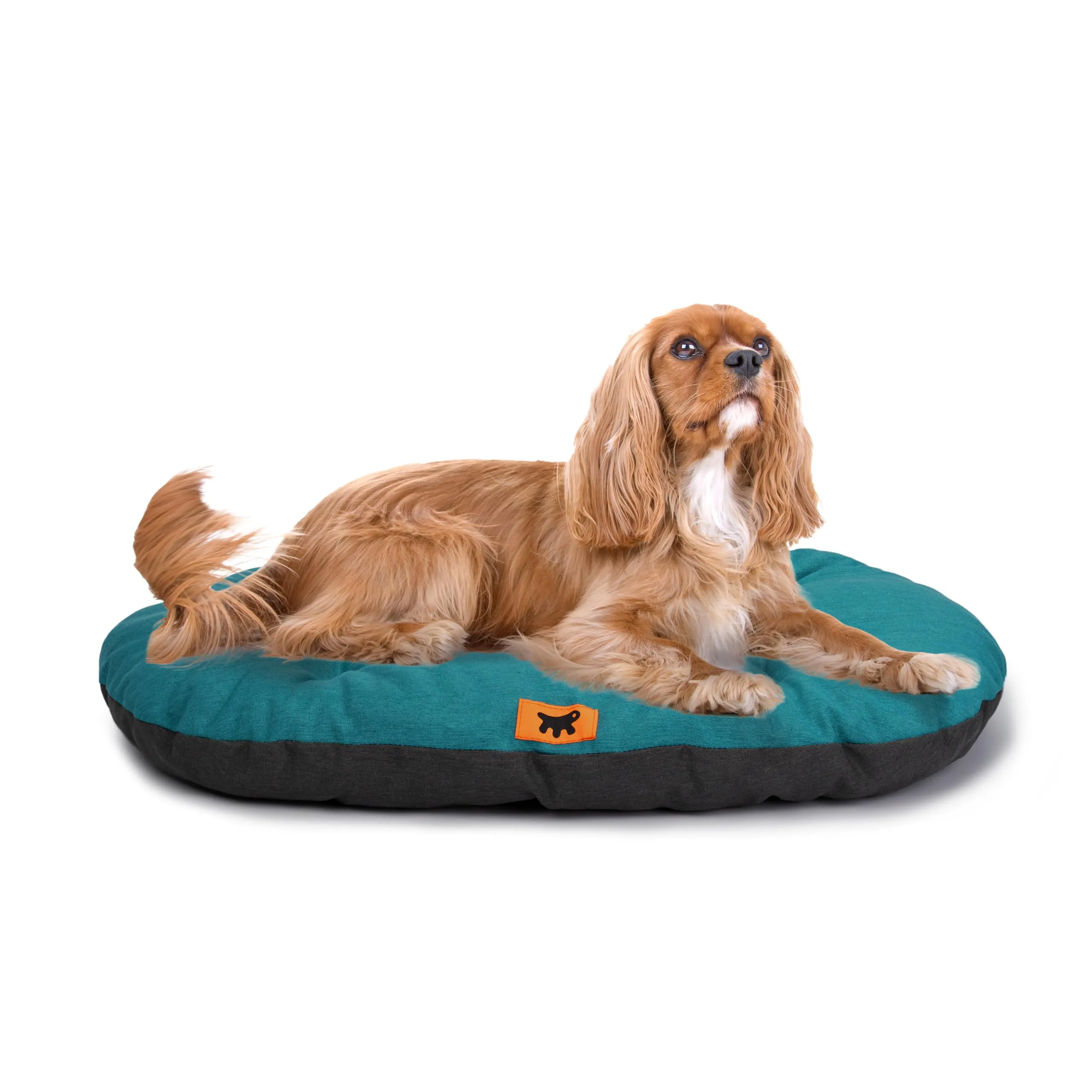 Ferplast Relax Cuscino per Cani e Gatti in Cotone, 78 x 50 cm, Turchese - immagine 1