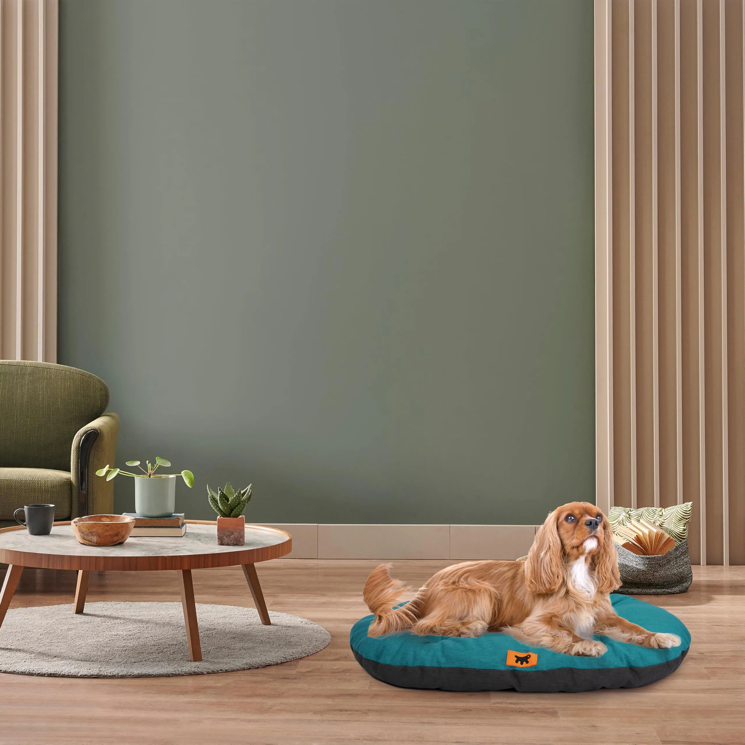 Ferplast Relax Cuscino per Cani e Gatti in Cotone, 78 x 50 cm, Turchese - immagine 3
