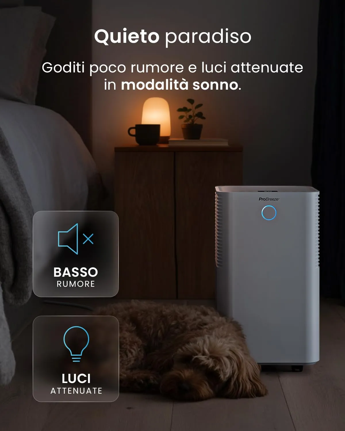 Pro Breeze OmniDry Deumidificatore 12L/Giorno con Sensore Umidità Automatico, Display LED, Timer 24h e Smart App - immagine 6