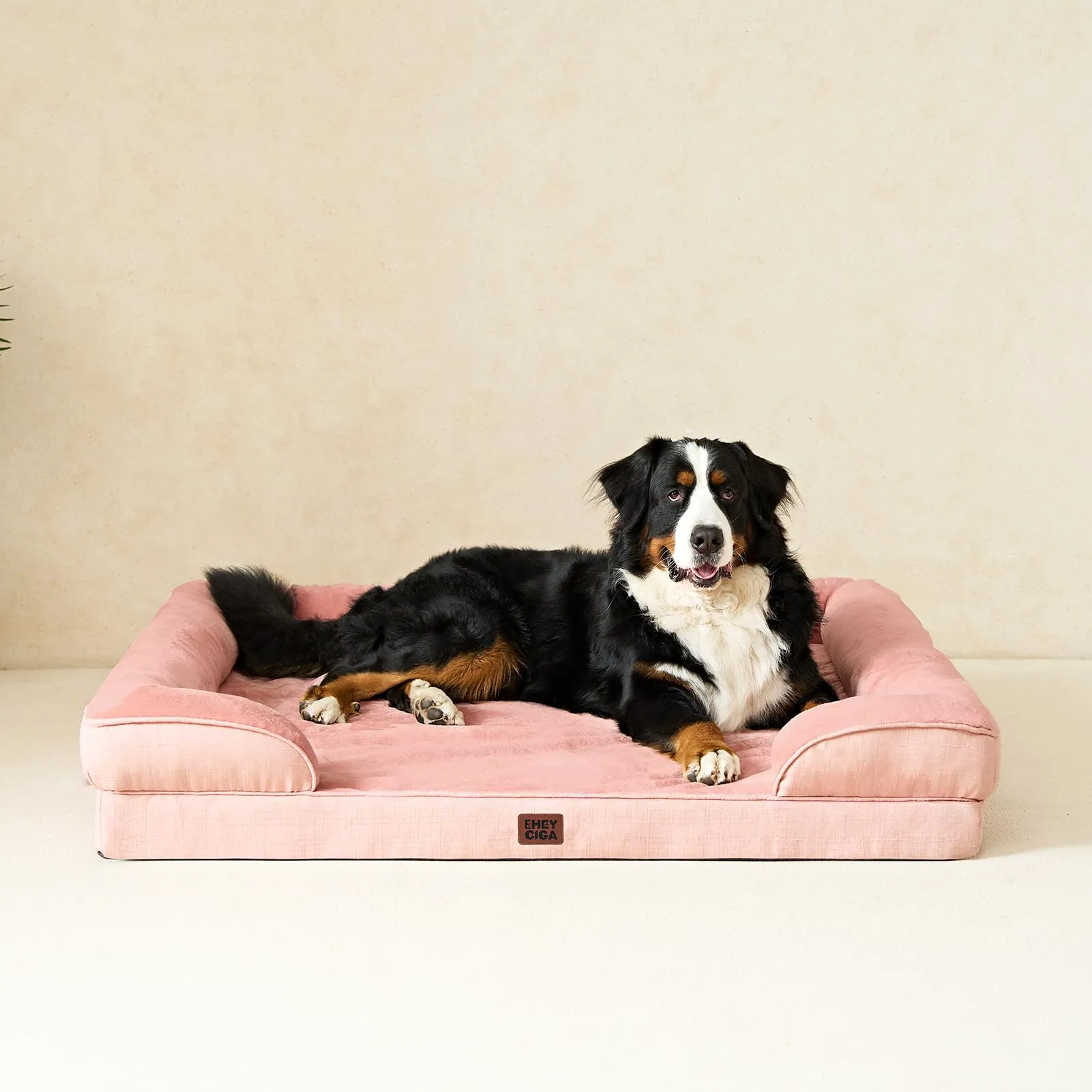 EHEYCIGA Cuccia Cane Interno, Taglia Grande, 112x81x16cm, Rosa - immagine 8