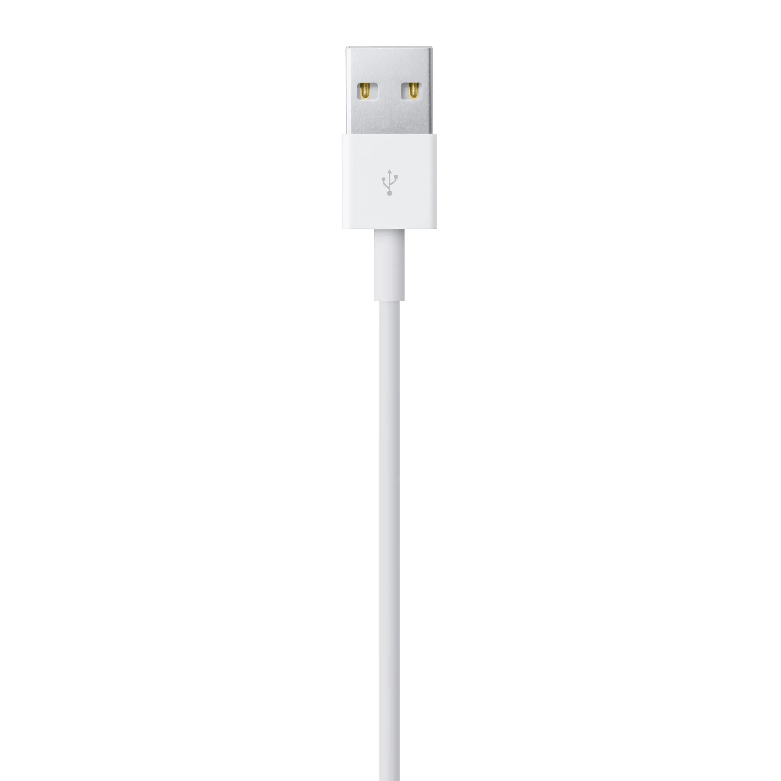 Apple Cavo da Lightning a USB (1 m) - immagine 4