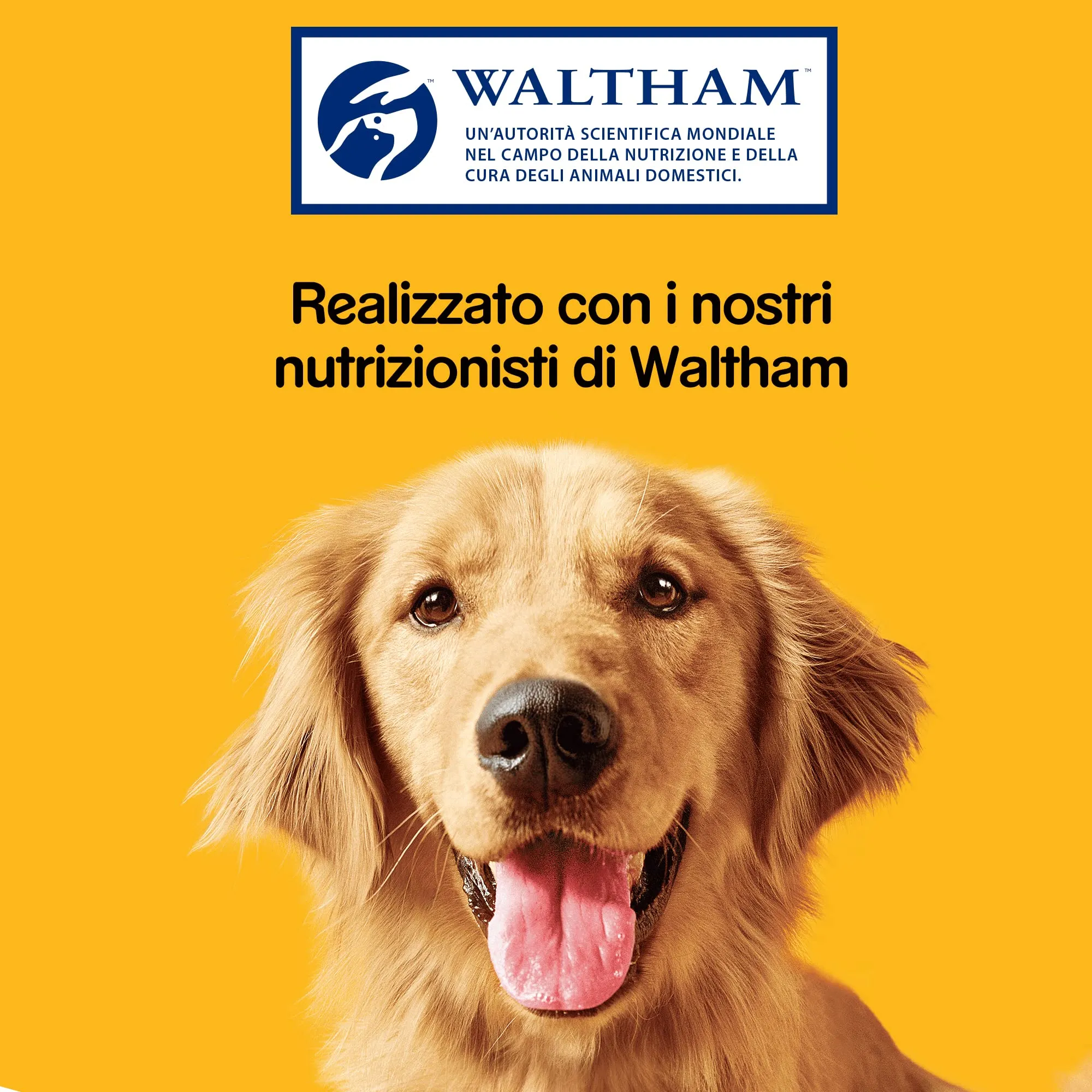 Pedigree Biscrok Original Biscotti per Cani Adulti, 500 g - immagine 6