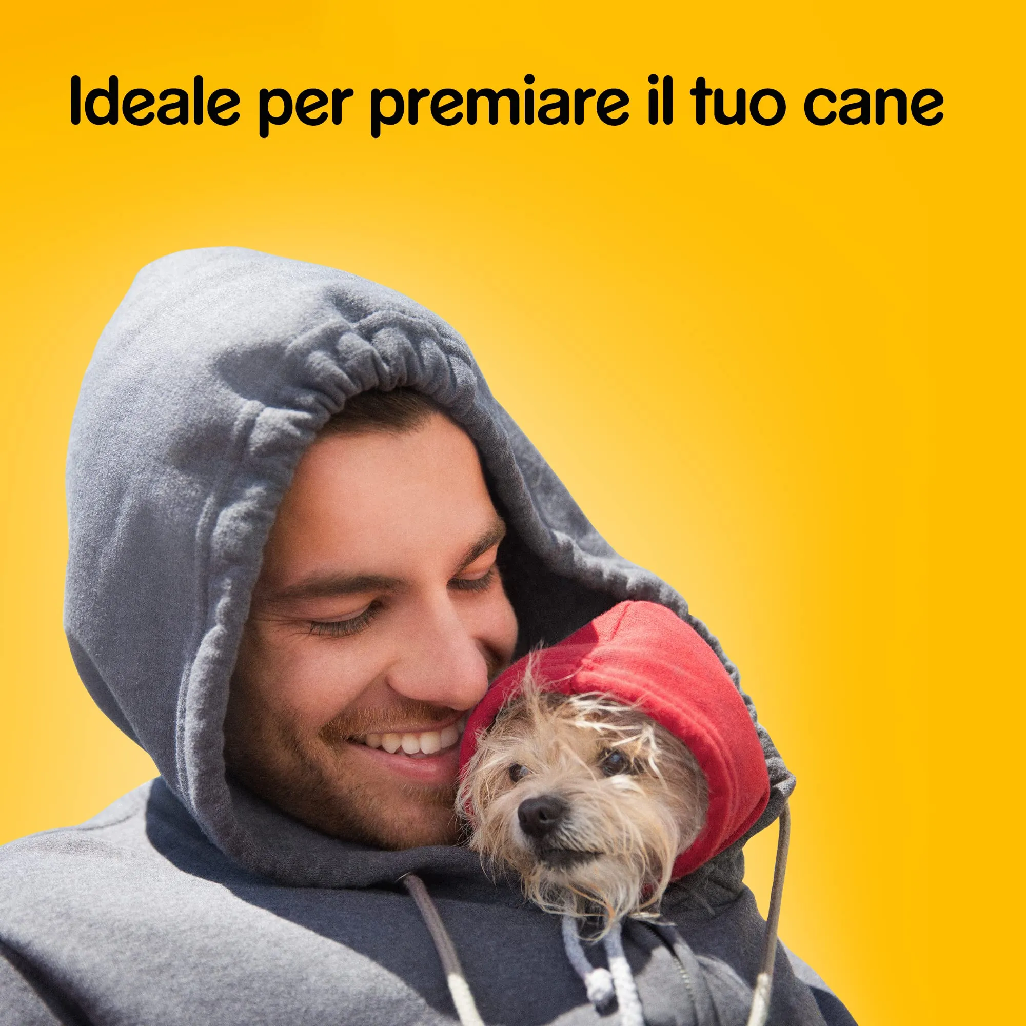 Pedigree Biscrok Multi Mix Snack per Cani, 12 Confezioni da 500 g - immagine 6