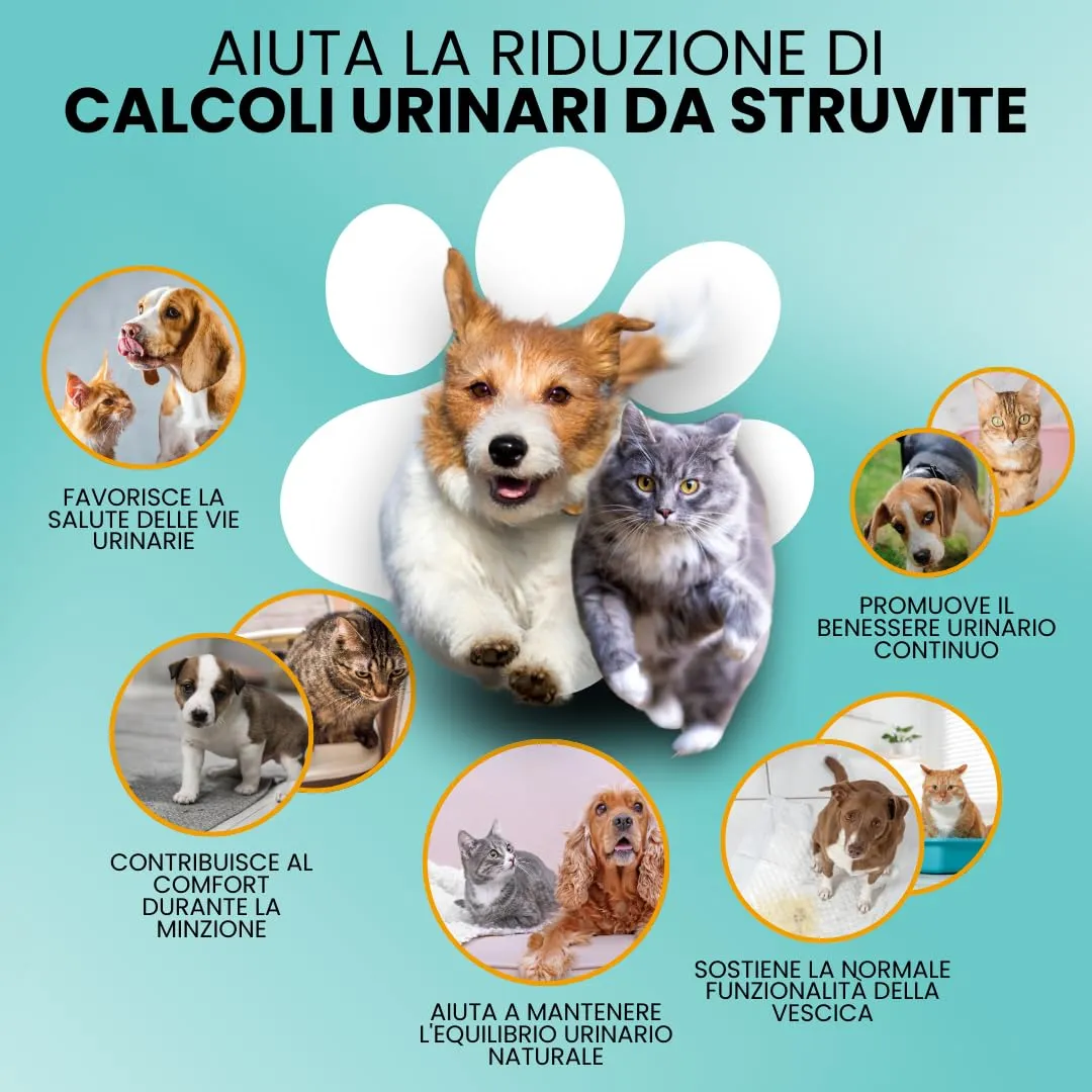 Camon StruviPet Pasta, Alimento Complementare per Cani e Gatti, 100g - immagine 4