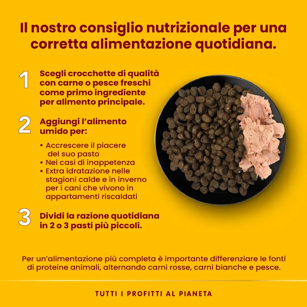 Almo Nature HFC Natural Alimento Umido per Cani Tonno Skipjack e Merluzzo 95g, Confezione da 24 - immagine 4
