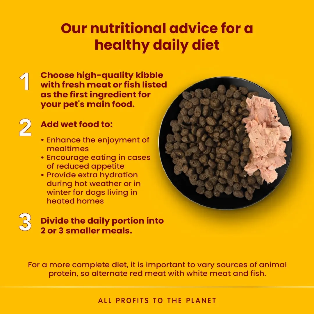 Almo Nature Daily Menu Paté di Cane con Pesce Bianco e Riso, 300 g, Confezione da 9 - immagine 2