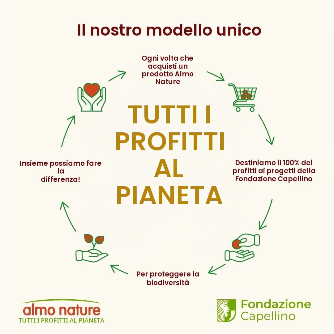 Almo Nature Daily Menu Paté di Cane con Pesce Bianco e Riso, 300 g, Confezione da 9 - immagine 3