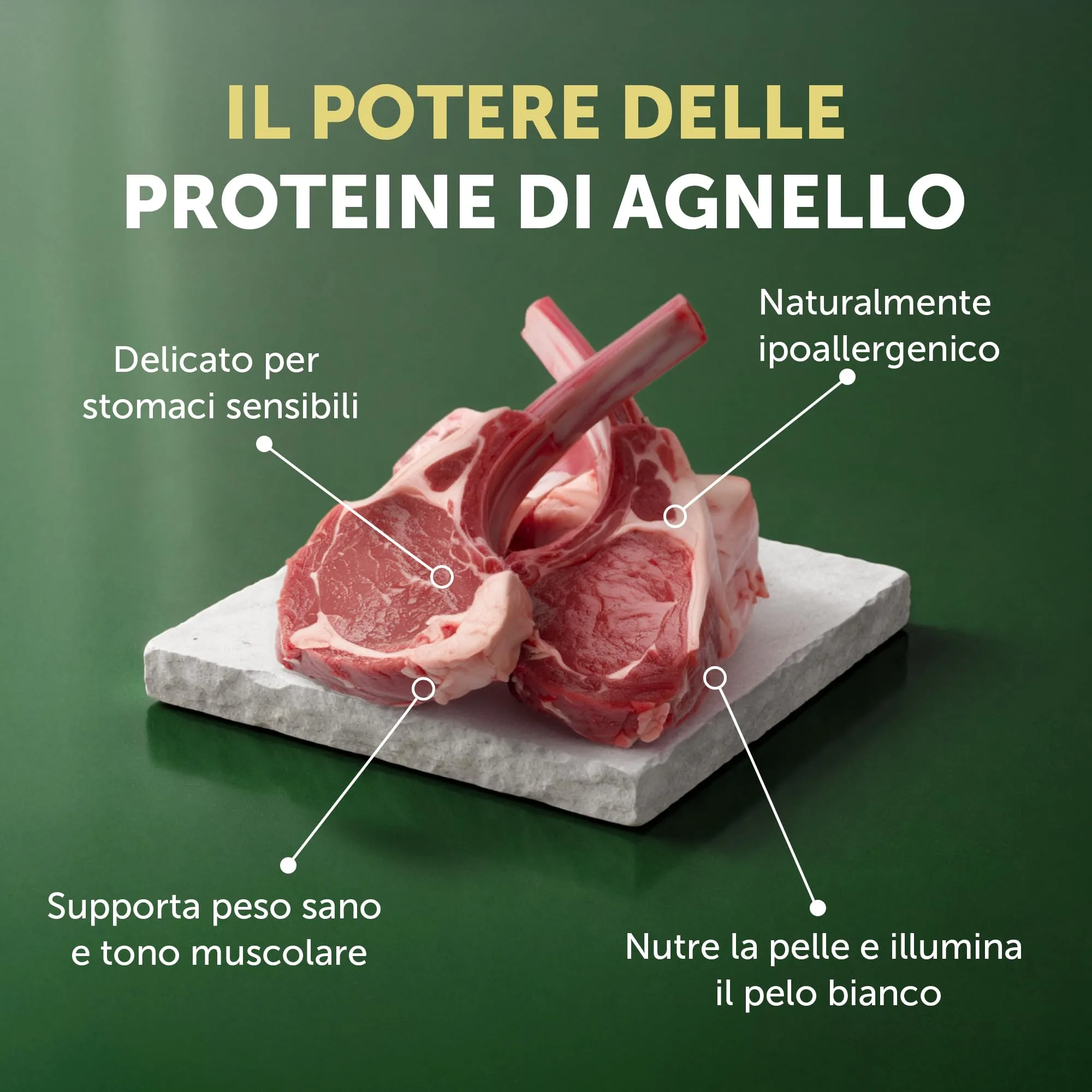 Nature's Protection Superior Care Cibo Secco per Cani Adulti Razze Piccole e Mini Pelo Chiaro Agnello, 6 x 1,5 kg - immagine 4