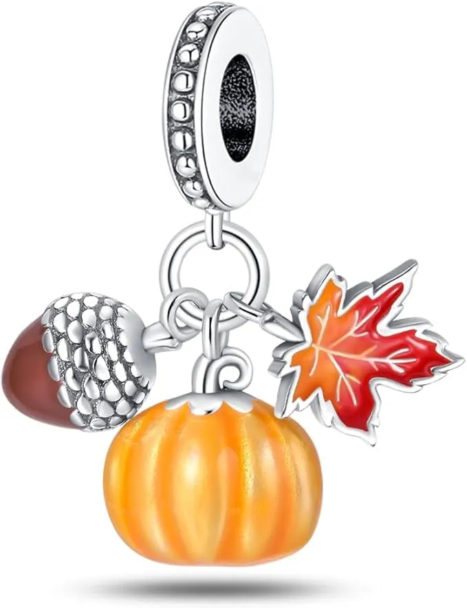 XWN Ciondolo in Argento Sterling 925 con Cubic Zirconia per Bracciali e Collane europei - immagine 1