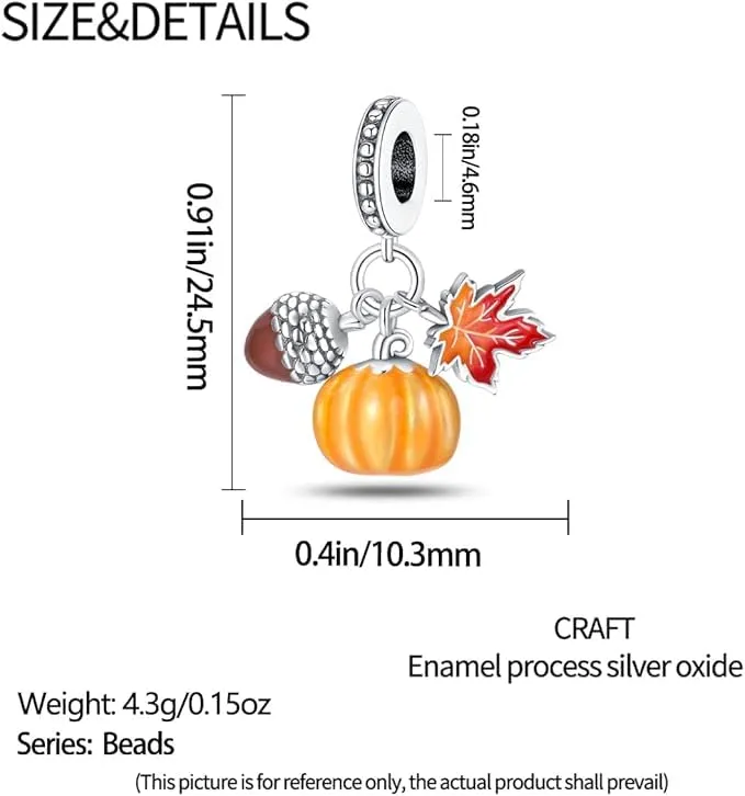 XWN Ciondolo in Argento Sterling 925 con Cubic Zirconia per Bracciali e Collane europei - immagine 5